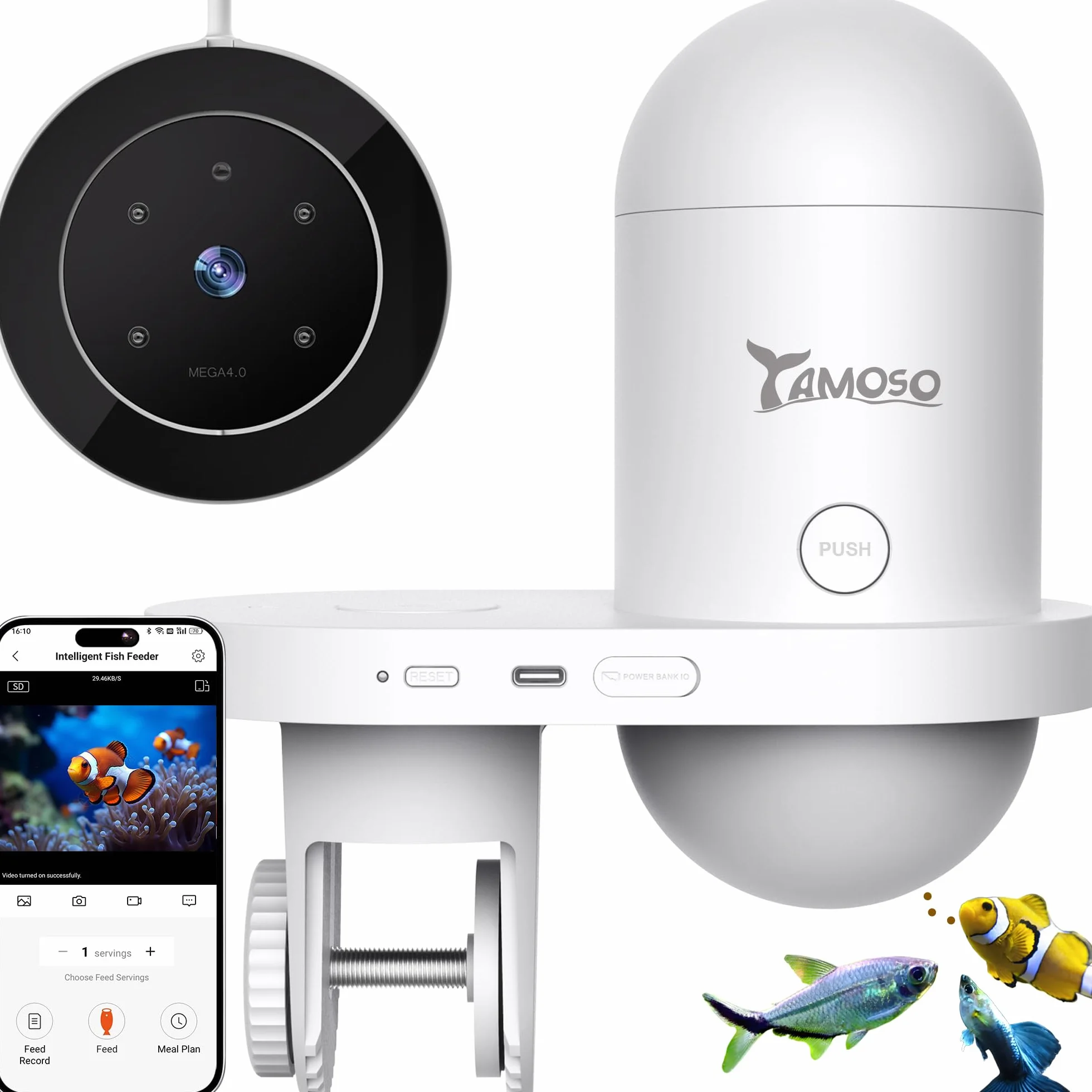 Mangiatoia Automatica WiFi Smart, Camera 2.5K, App 2.4/5G, Dosaggio 0,2g Cura Vacanze, Serbatoio 230ML Anti-Appannamento, Timer, Notifiche, Acquario Marino, Acqua Dolce e Tartarughe