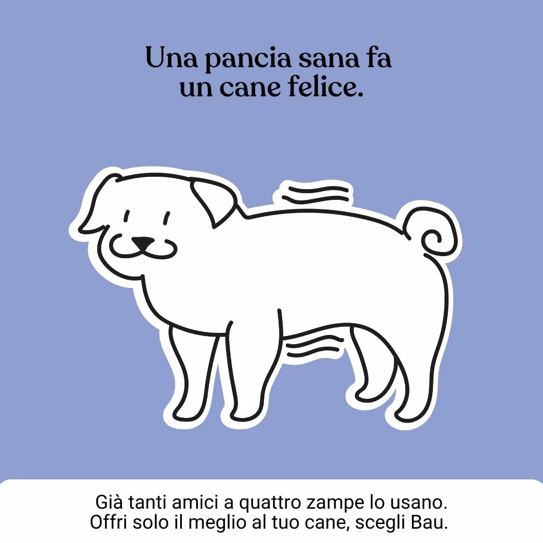 Bau Probiotici per Cani, Fermenti Lattici Cane, Supporto Gastrointestinale Cane, Probiotico Digestivo per Cani Prurito, Integratore Diarrea Cane con Ingredienti Naturali, Probiotico Cane -60cps