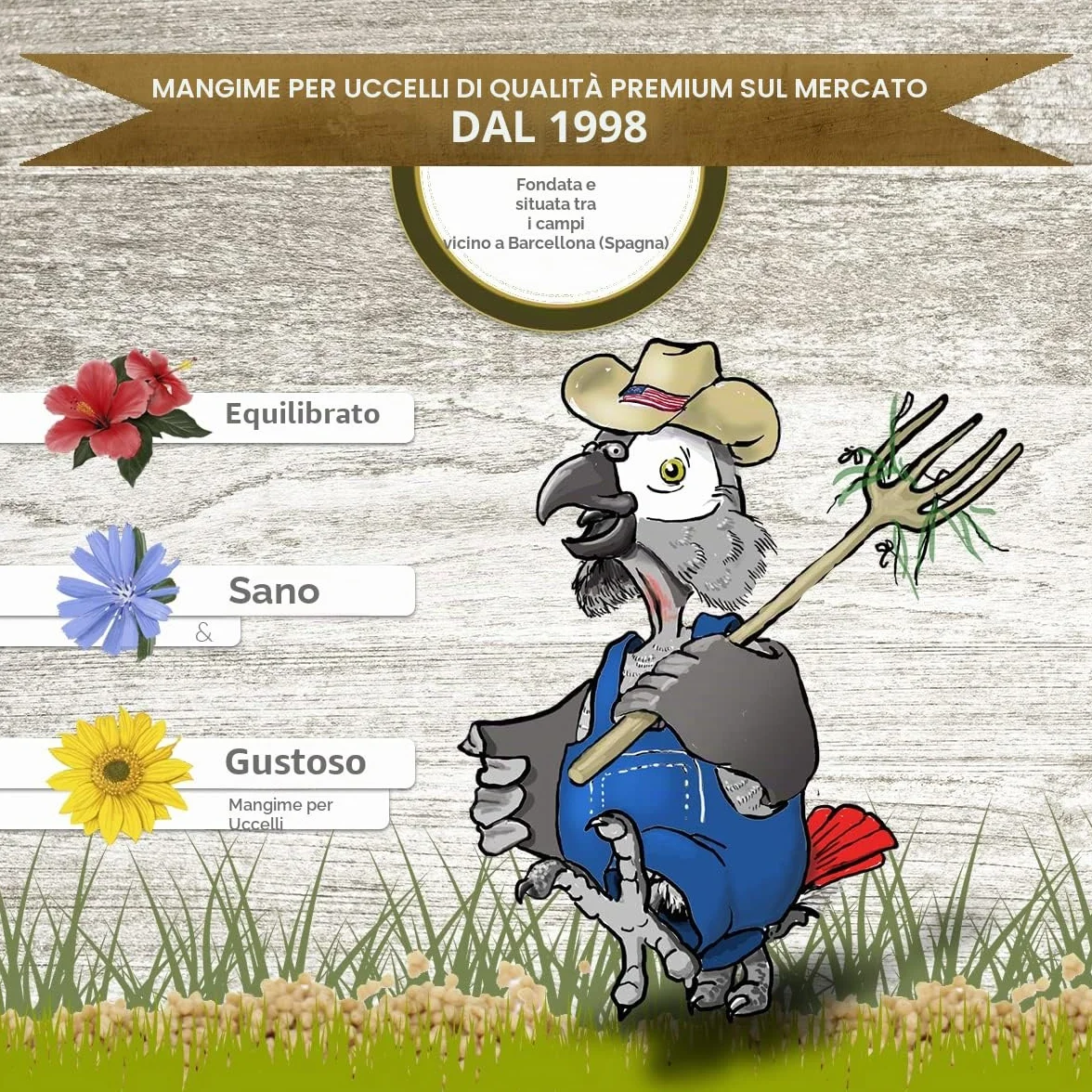 Psittacus Cibo di Mantenimiento Alta Proteina per Pappagalli, 800 g