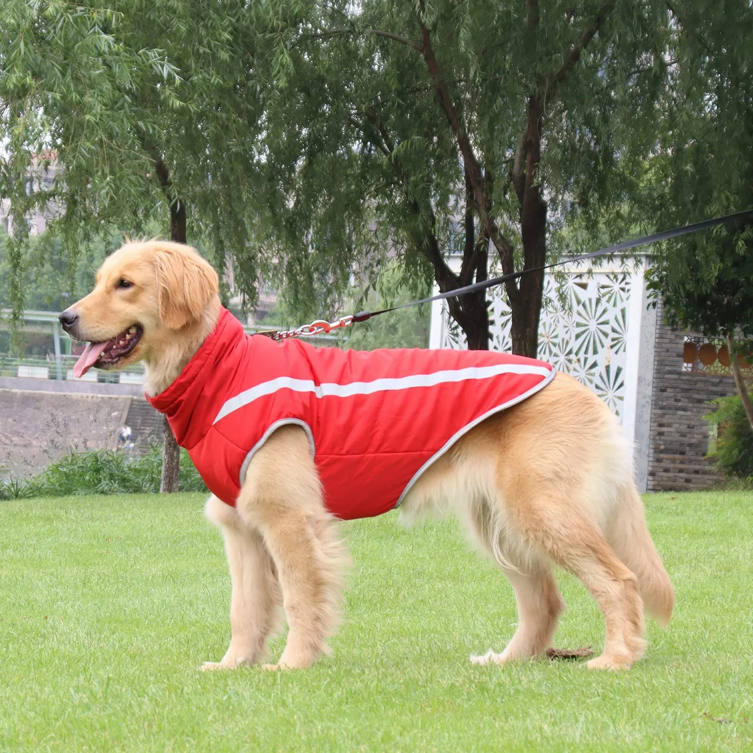 Cappotto Invernale Impermeabile per Cani Giacca Antivento Riflettente con Foro per Imbracatura Taglia Piccola Media Grande