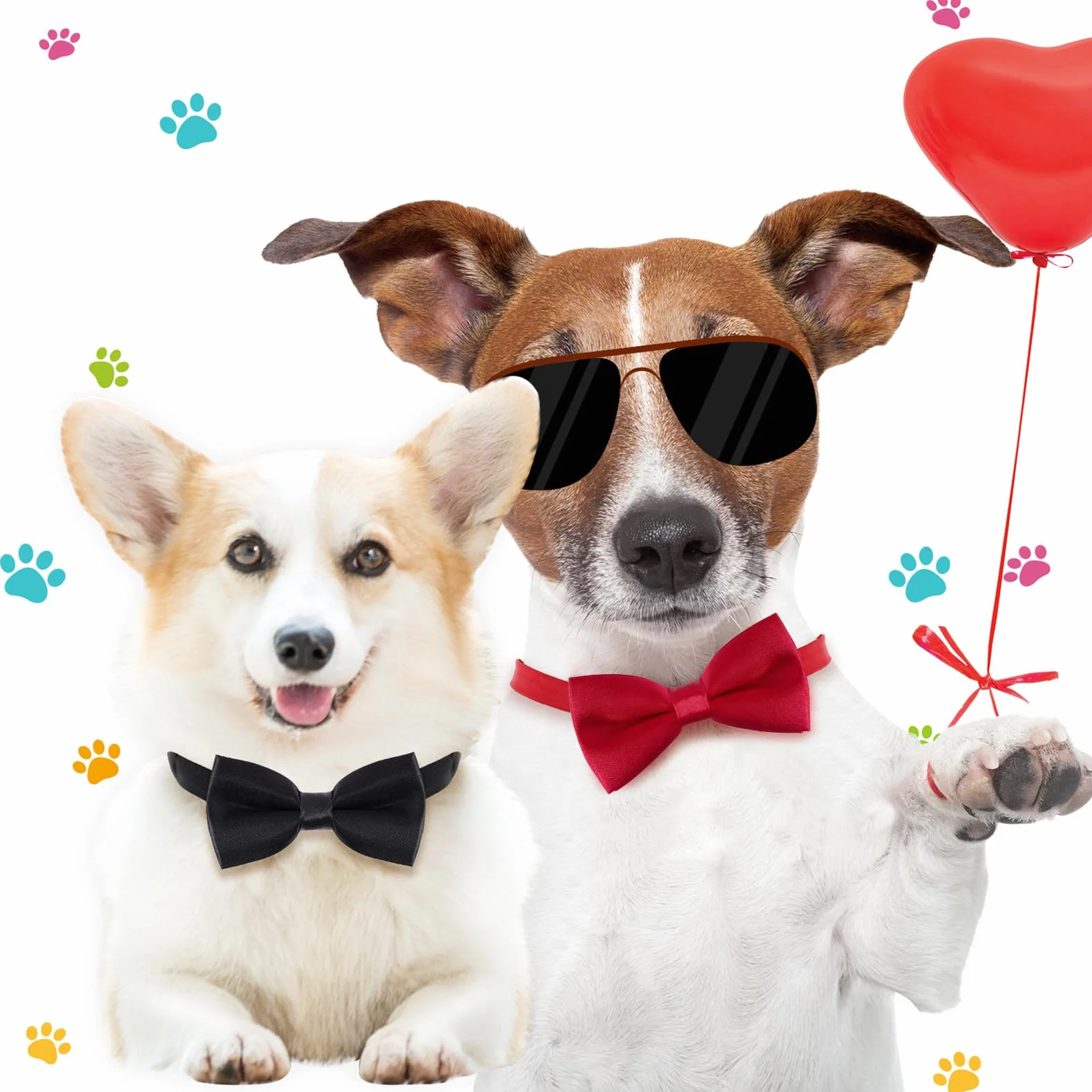Collare per cani con papillon in velluto rosso per matrimoni
