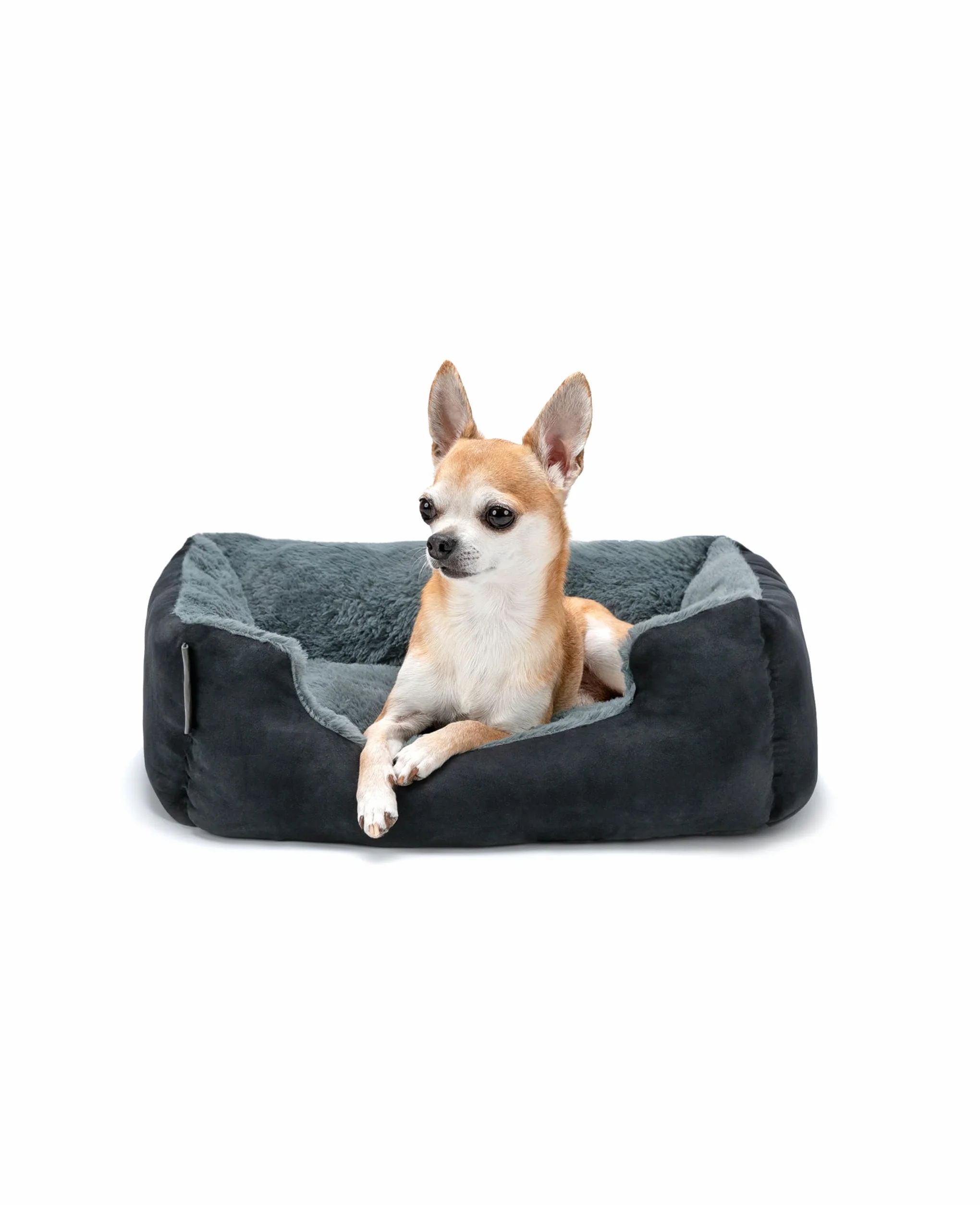 Cuccia per cani lionto 50x37 cm con cuscino reversibile antiscivolo, ingresso basso, nero/grigio