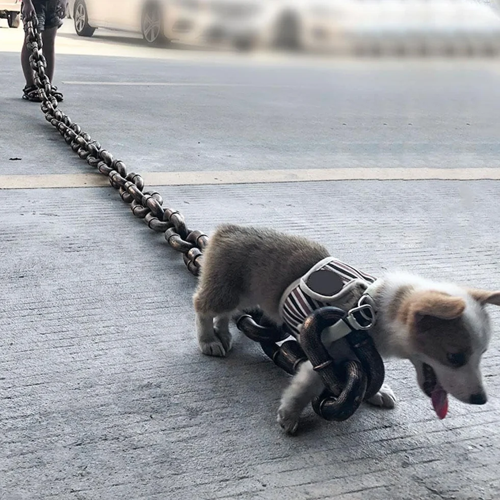 Falsa catena grande per cani, interessante catena realizzato in materiale plastico che imita la catena di ferro, solo per cani di piccola taglia, gatti e cuccioli, chihuahua, barboncino toy,