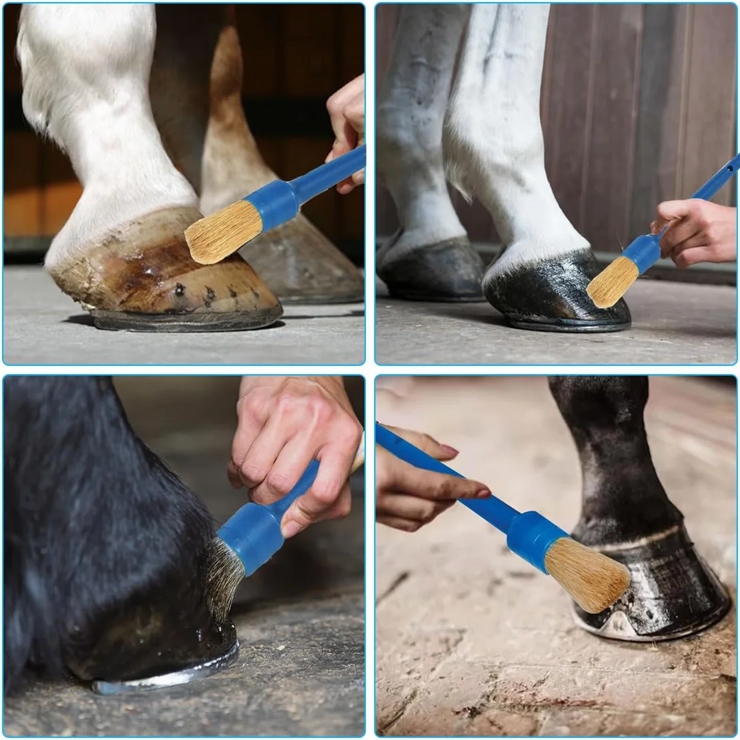 2pcs Spazzola per zoccoli di cavallo Spazzola per zoccoli con cappuccio in pelo di maiale Spazzola per zoccoli per cura degli zoccoli