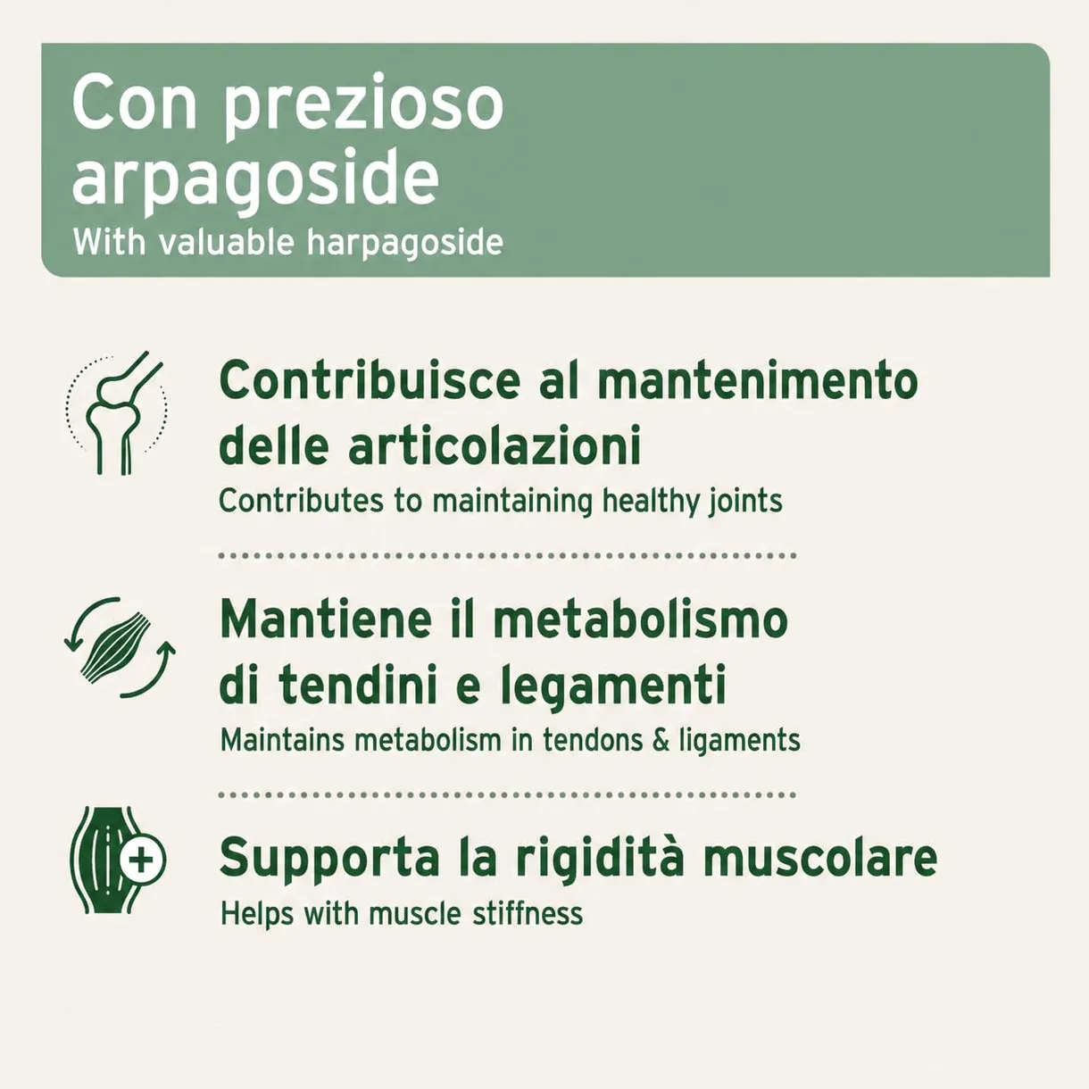 AniForte Artiglio del Diavolo - Articolazioni Attive 500g per Cani e Gatti, Integratore Naturale dell'Agle del Diavolo Africano per Il Movimento, per Supportare Articolazioni Agili e Flessibilità