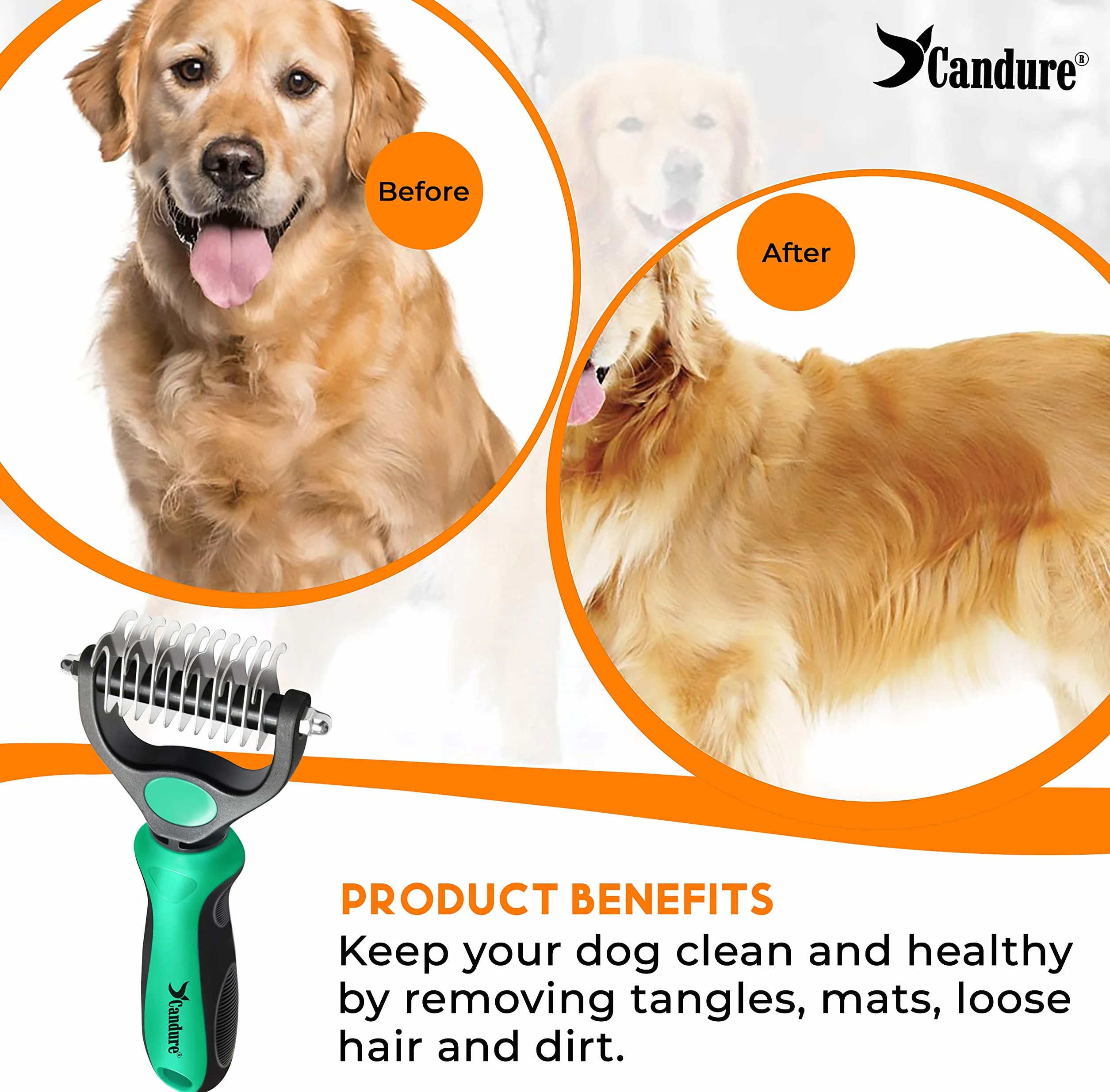 Candure Spazzola per Cani, Pettine Gatti per Pelo Acciaio Inossidabile 11+6 Doppia Faccia Strumento di Deshedding Animali per Cane Pelo Lungo, Medio e Corto (Verde)