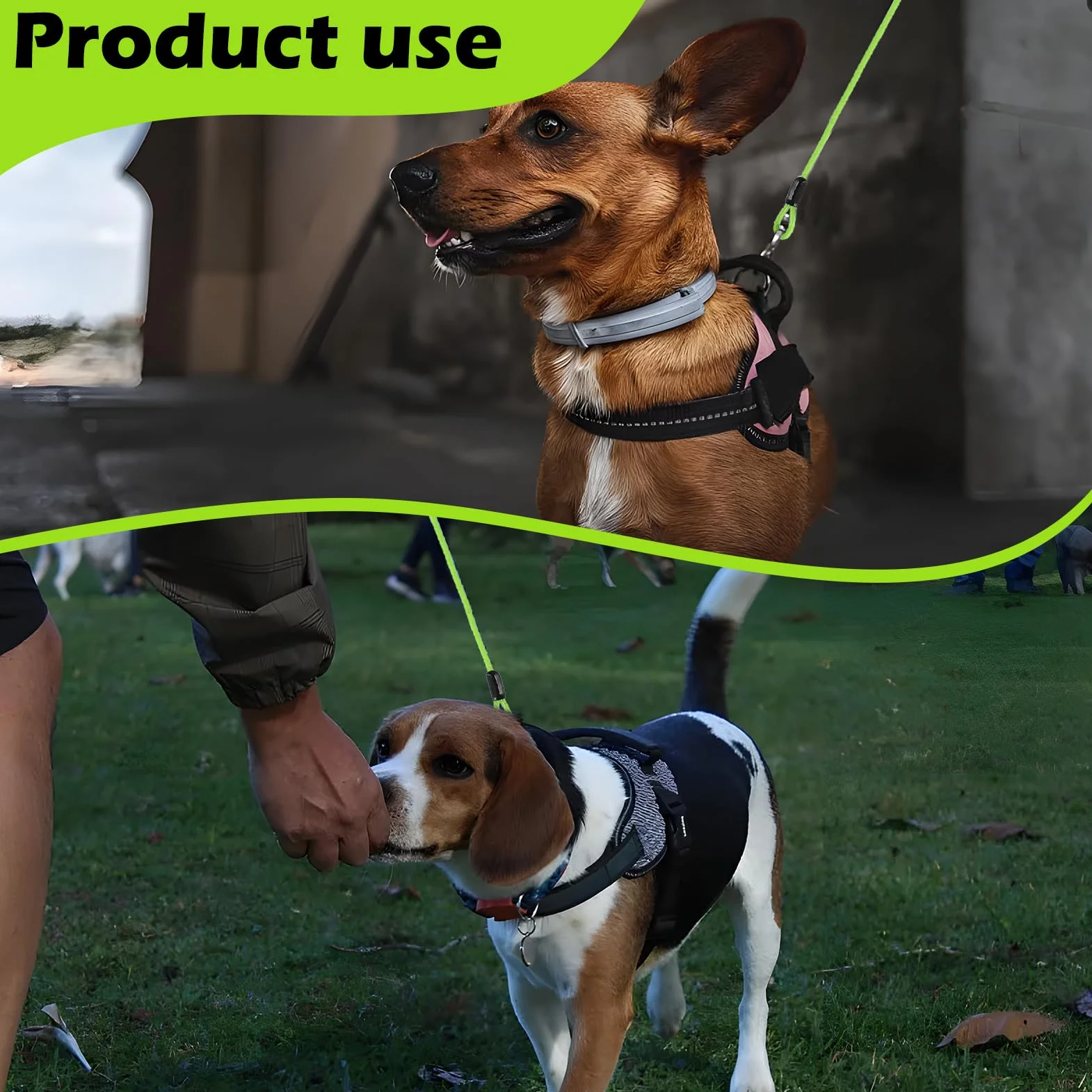 Guinzaglio esterno,resistente da 4 mm, per cani con gancio girevole, cavo in acciaio leggero, guinzaglio per giardino, terreno libero e viaggi (3m)
