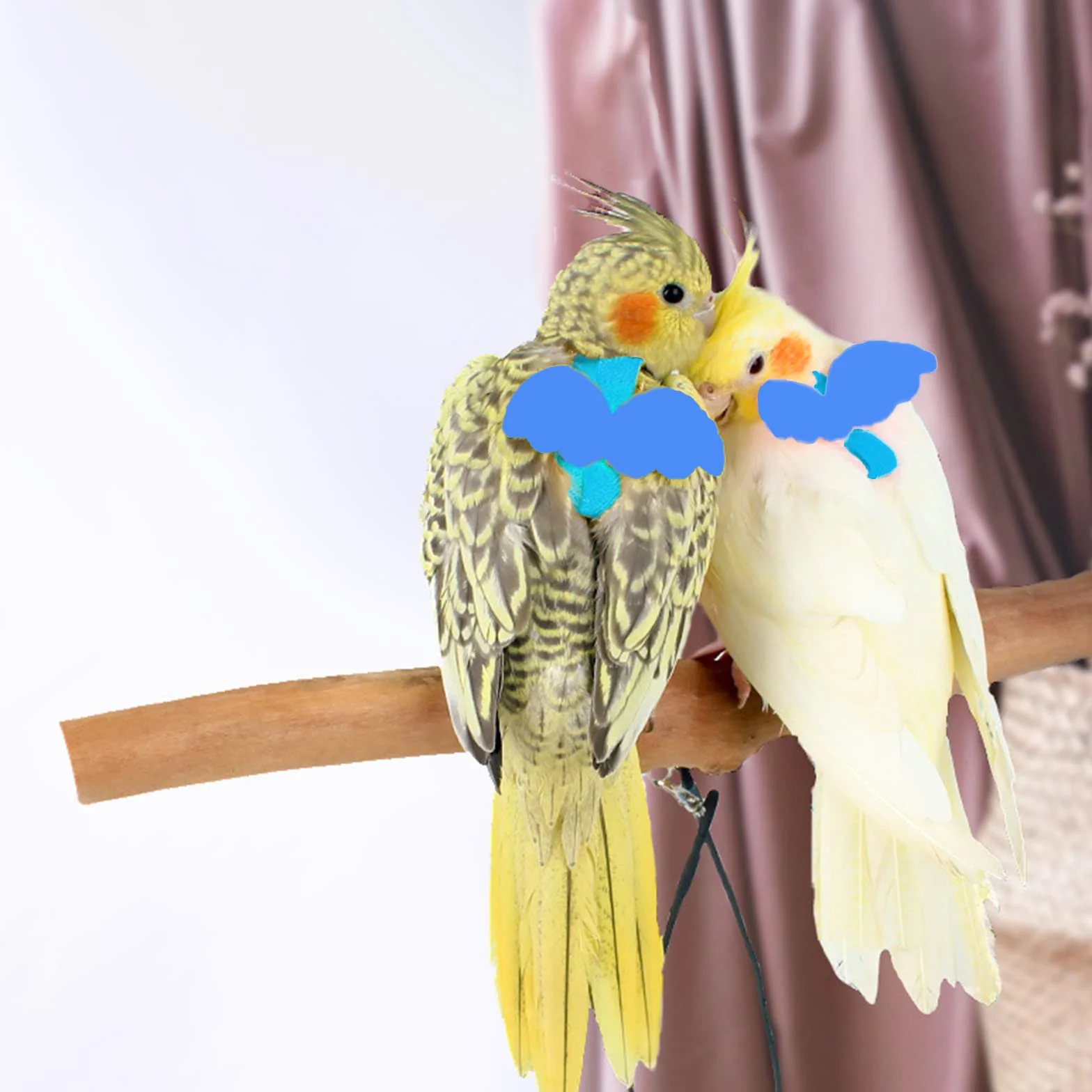 Pet Parrot Bird Pettorina e guinzaglio per cani - Design di addestramento regolabile - Anti-morso - Corda in nylon con adorabile ala per pappagalli - Adatto per Alexandrine, Scarlet, Keck