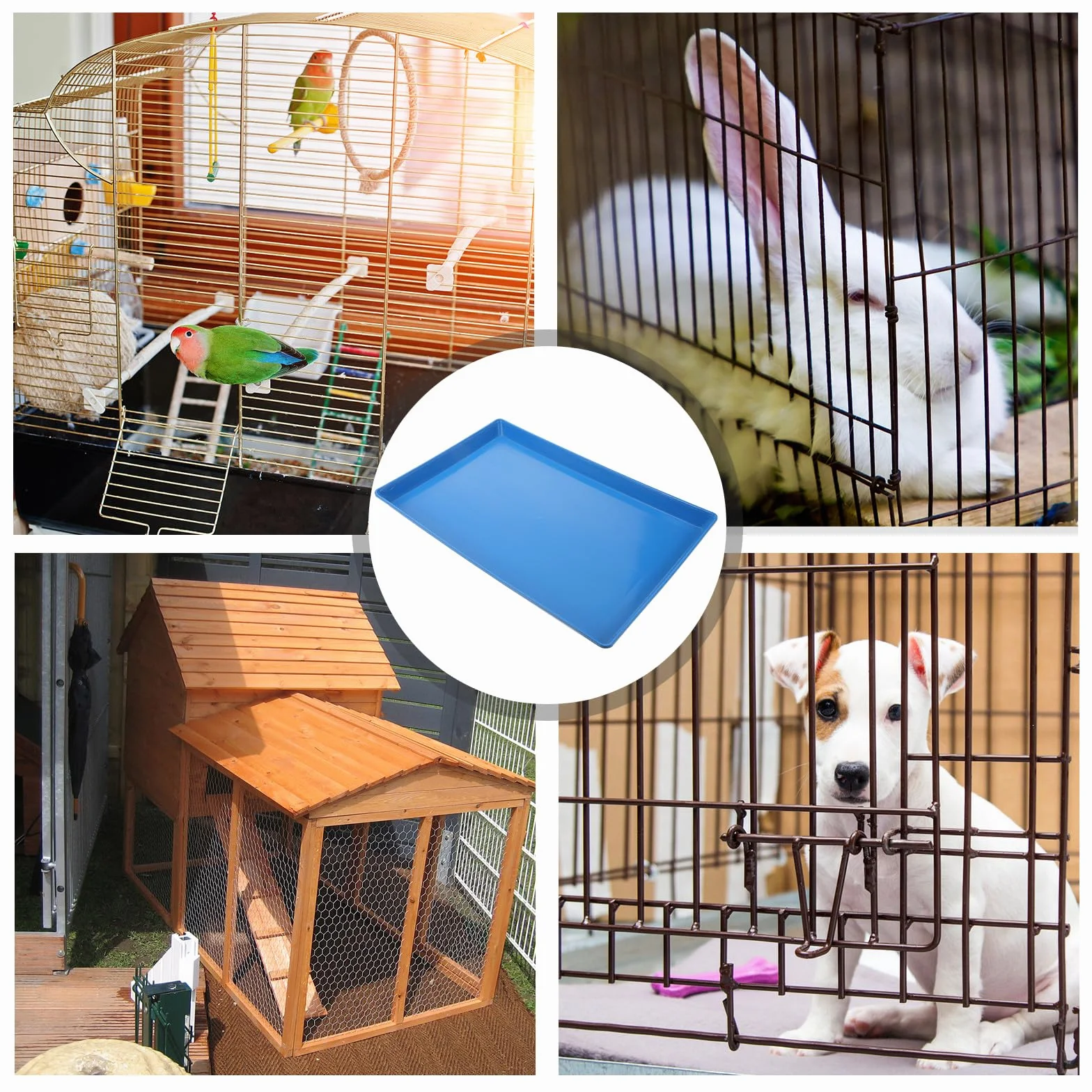 Vassoio per Escrementi in Plastica Bordi Alti 44x29x3 cm per Cani e Conigli