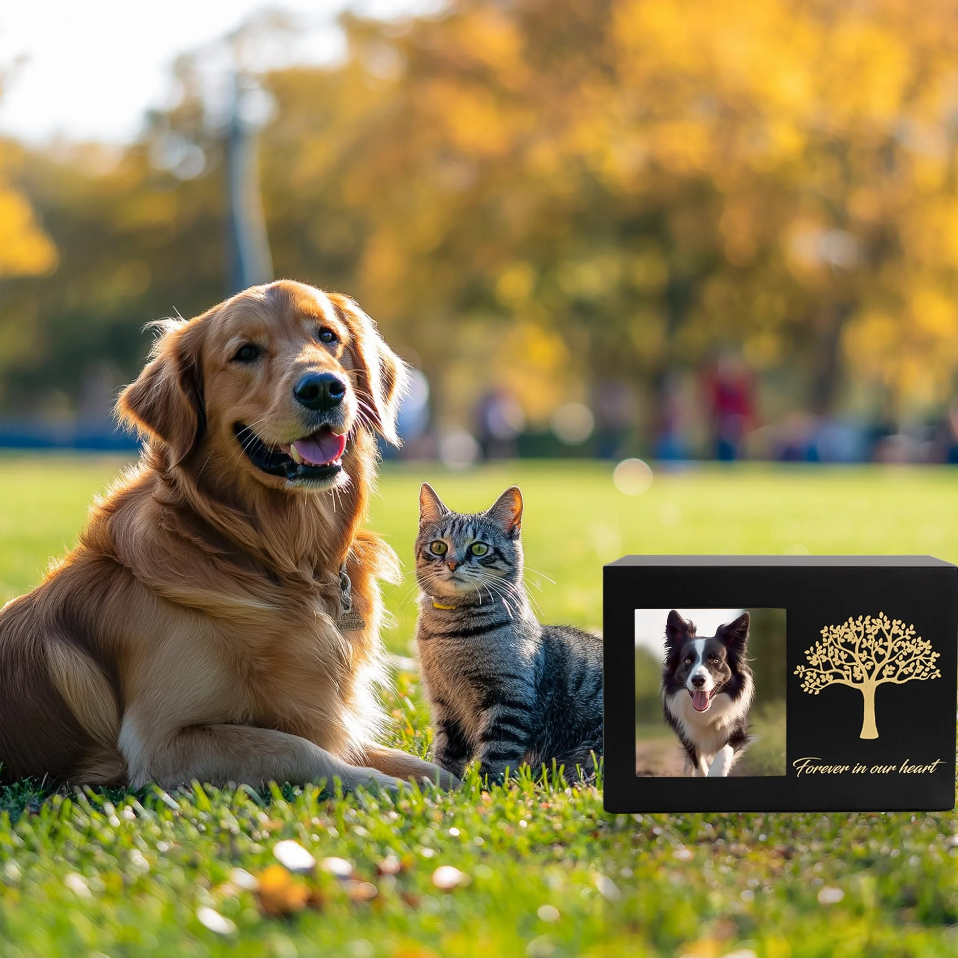 Urne per cani o gatti, cornice portafoto personalizzata e Albero Commemorativo, ceneri in legno, scatola dei ricordi per gatti o cani (25kg)