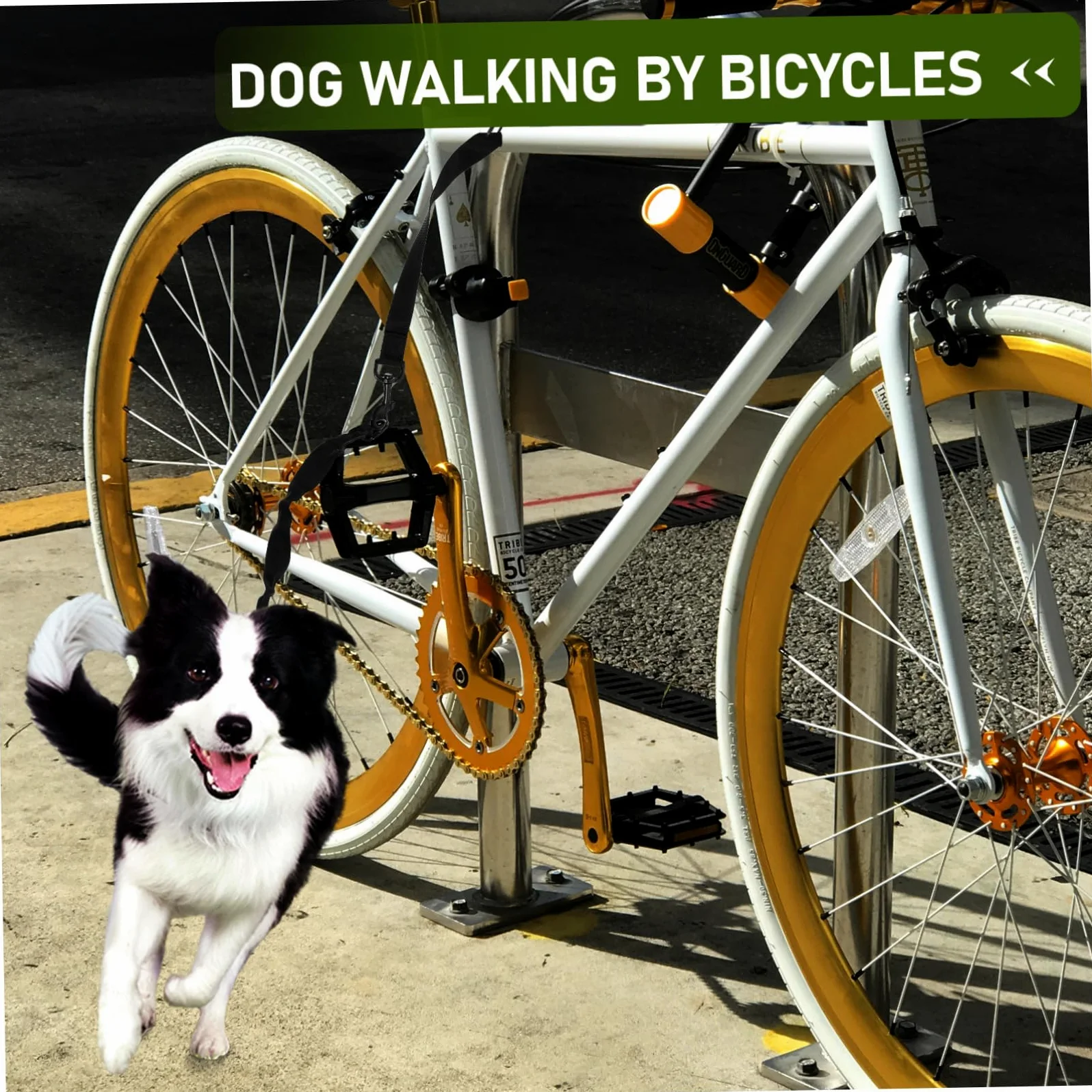 Garneck Guinzaglio Per Cani in Corda Guinzaglio Da Traino Per Animali Domestici Corda Da Trazione Portatile Per Cuccioli e Bici