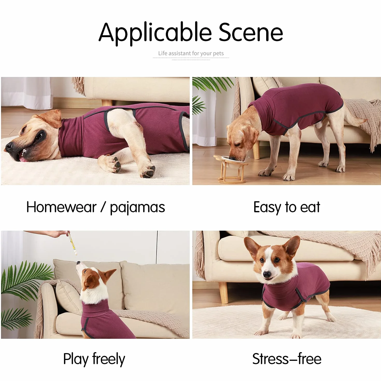 Felpa per cani Gilet in pile elasticizzato Pullover caldi taglia piccola media Abbigliamento invernale per interni ed esterni