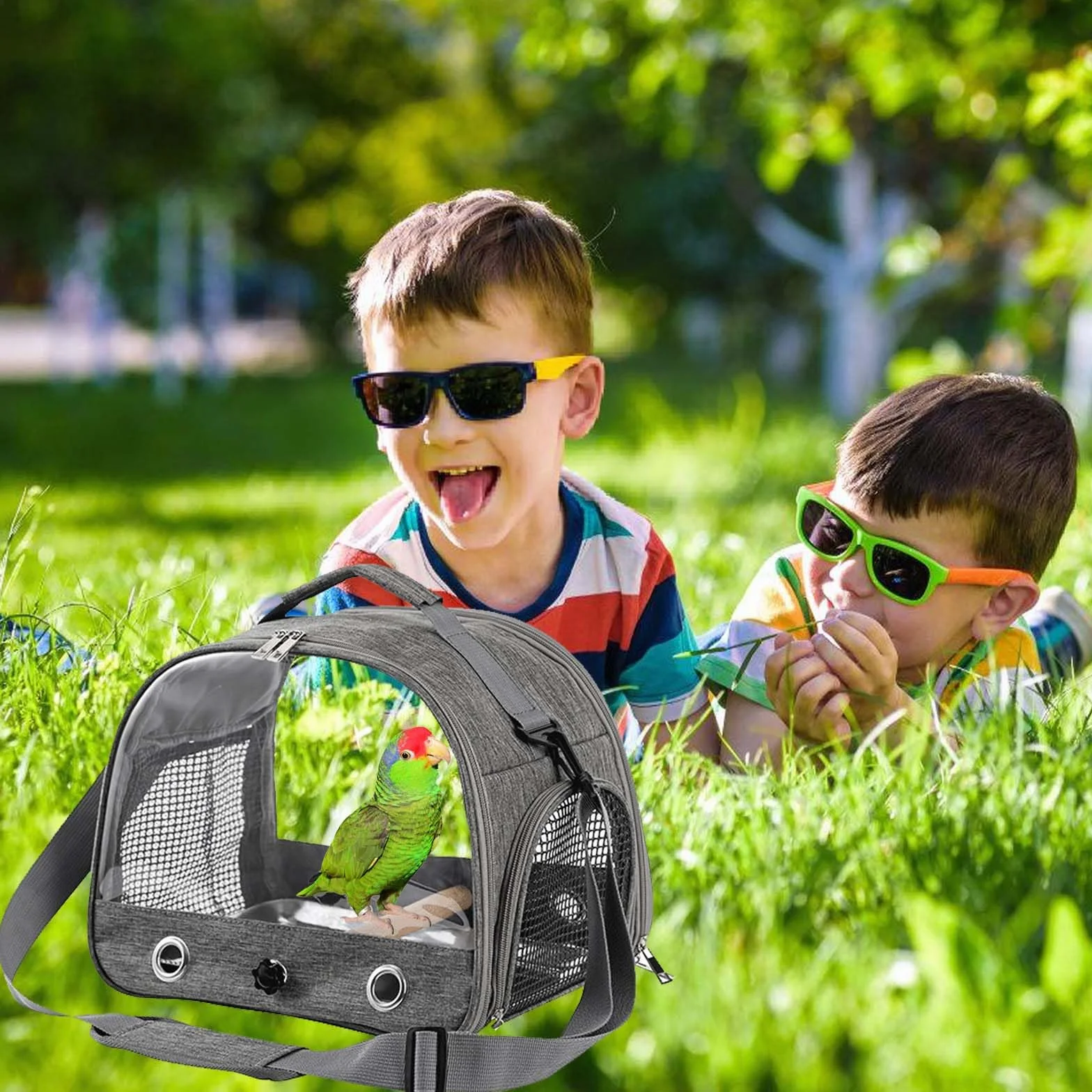 Asfrode Borsa per il trasporto con asta e vassoio in acciaio inox, leggera, per il trasporto di uccelli, per pappagalli, pappagalli, parrocchetti
