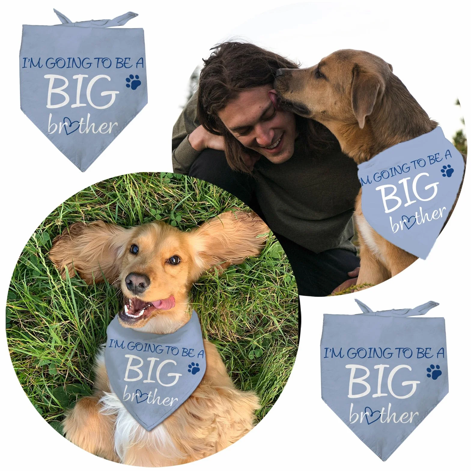 Arricraft Bandana Triangolare In Cotone per Cani Da Compagnia Diventerò Un Fratello Maggiore Sciarpa Lavabile