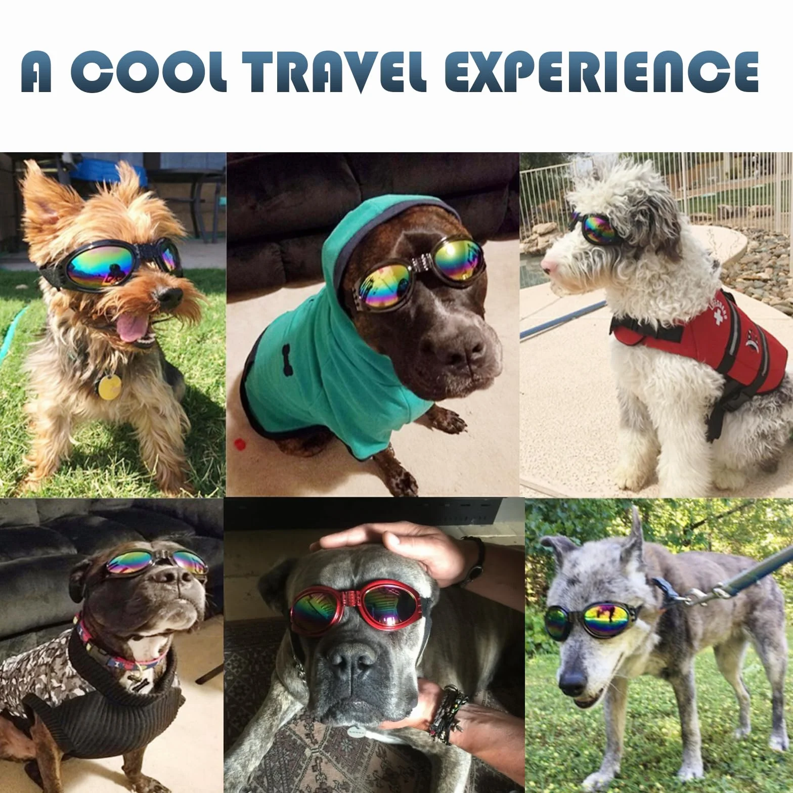 TYXHXTF 2 Pcs Occhiali per Cani, Occhiali da Sole e protettivi per Cani di Taglia Piccola, con Cinturini Regolabili e Pieghevole, Anti UV, Impermeabili, Antivento, Anti Appanamento