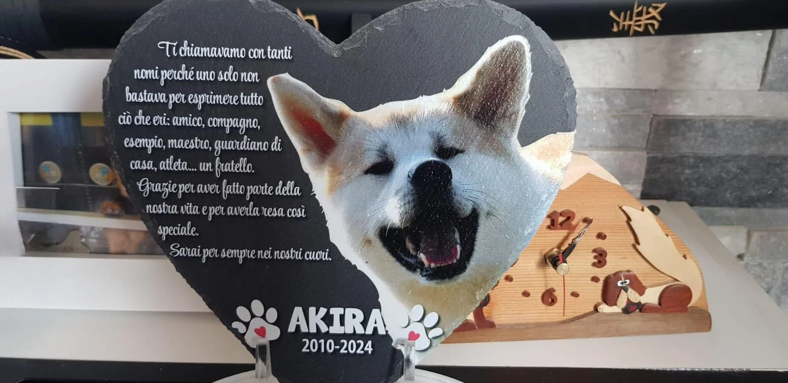 Lapide commemorativa a forma di Cuore per Cane e Gatto, Ardesia personalizzabile con foto