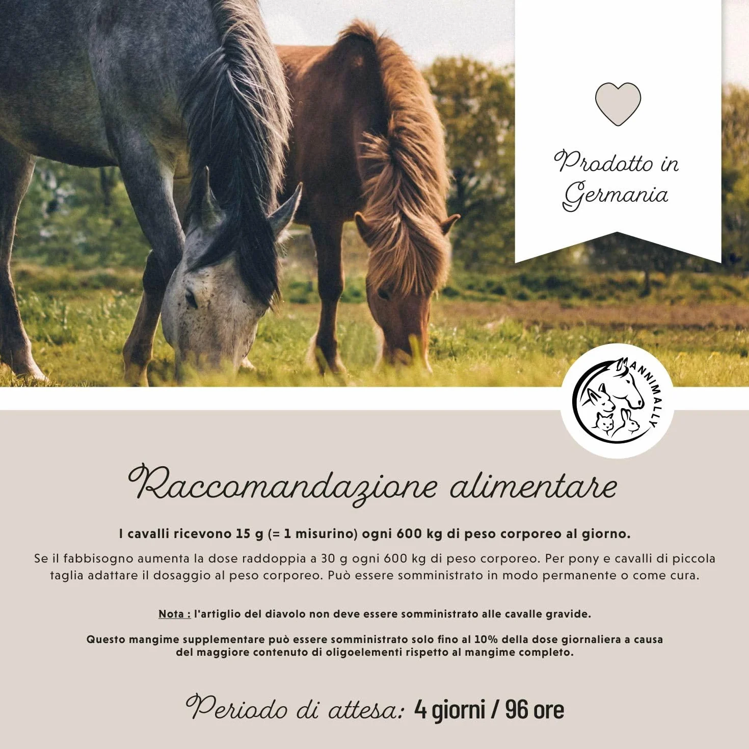 Polvere per le articolazioni dei cavalli 850g con artiglio del diavolo cavallo, MSM cavallo (Zolfo), Glucosamina e Condroitina - Msm integratore cavalli per il Rafforzamento delle Articolazi
