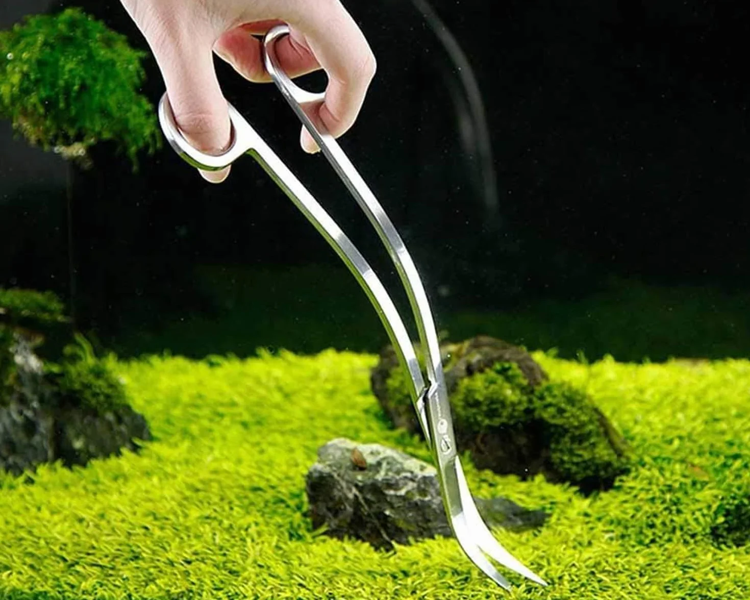 Forbici curve in acciaio inox 25 cm per acquario piante acquatiche