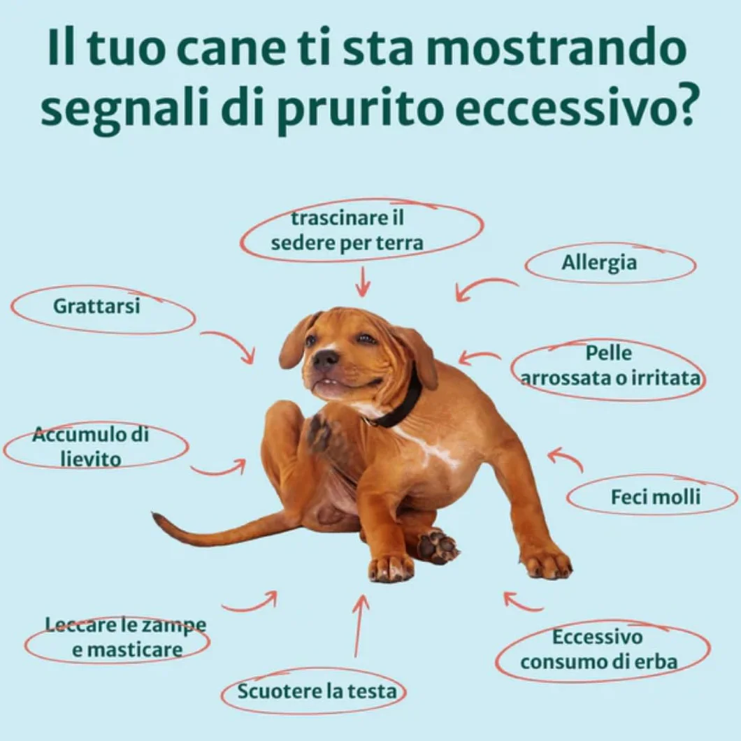 DogSuppy Sollievo Prurito Probiotici Forte per Cani – Ferma Prurito, Grattamento, Leccamento delle Zampe e Mangiare l’Erba, Allevia Allergie e Lieviti, 100% Naturale, Sostiene Intestino e Immunità