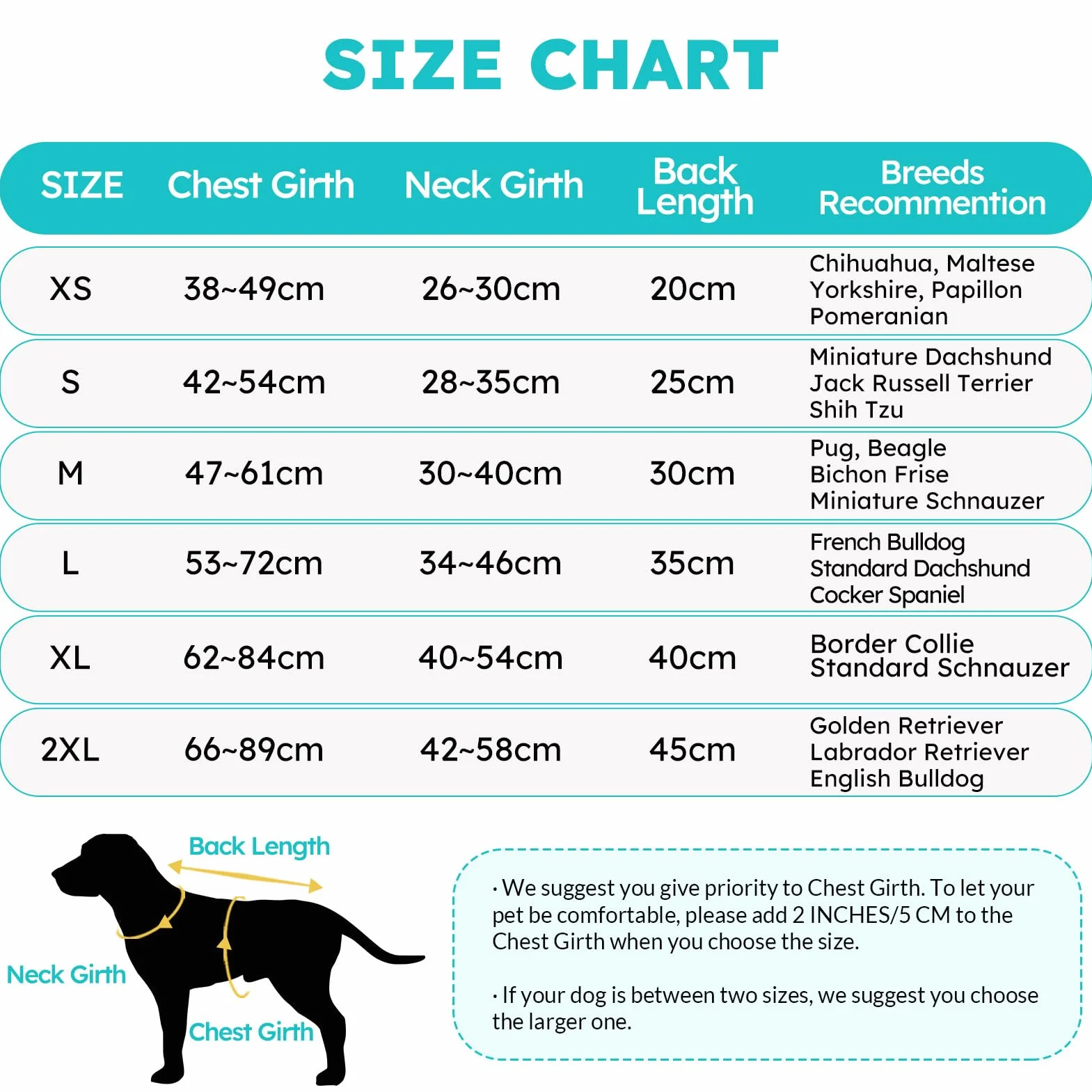 Queenmore Salvagente Cane Taglia Piccola Regolabile Riflettente Per Cani Piccoli Nuotare Kayak Paddleboarding (S, Verde)