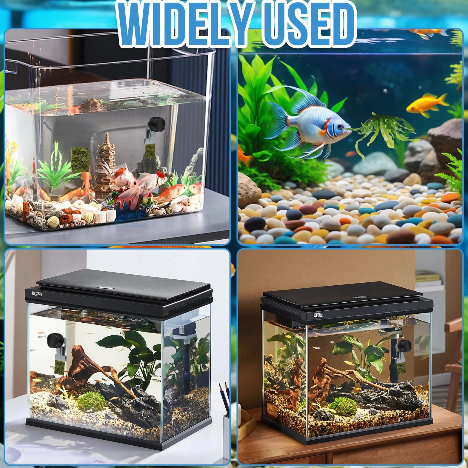Mangiatoia per pesci rossi, accessori per acquari marini, magnete per alghe, mangiatoia per alghe marine, clip magnetiche, anello di alimentazione per acquari adatto per pesce animali acquatici