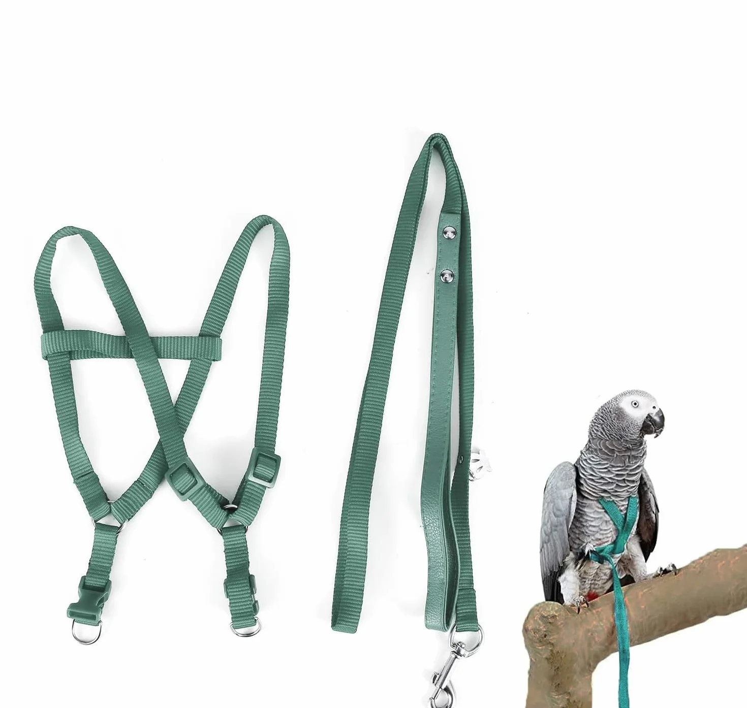 Guinzaglio per Uccelli Regolabile e Guinzaglio Per Uccelli Accessori Essenziali Per Esterni Volante Adatto Per Ara Scarlatto Sole Conure Pappagallo Cockatiel