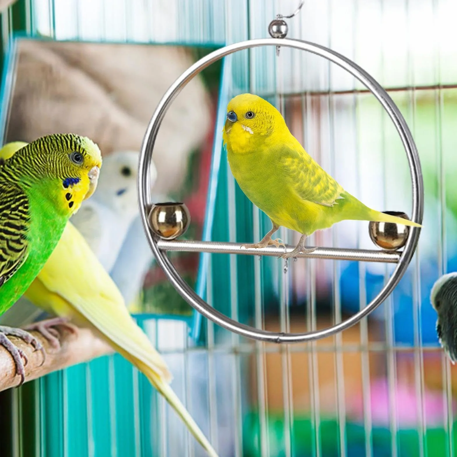 Supporto per uccelli in acciaio inox altalena rotonda per pappagalli antiruggine con gancio