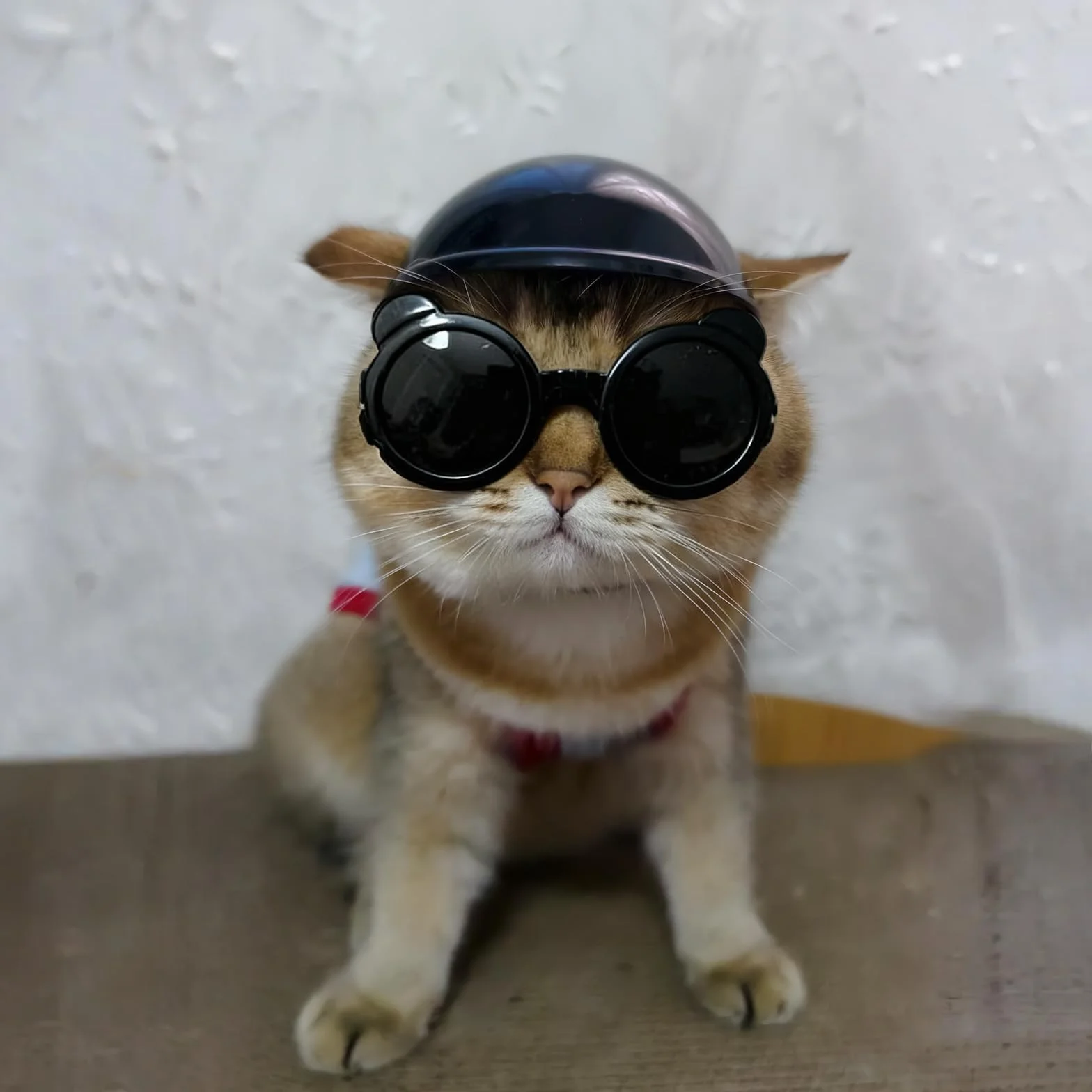 Occhiali da sole per cani di taglia extra piccola e casco per cani di taglia XS, 2 pezzi, occhiali da sole anti-UV, set di casco protettivo per gatti, chihuahua, protezione per testa e occhi
