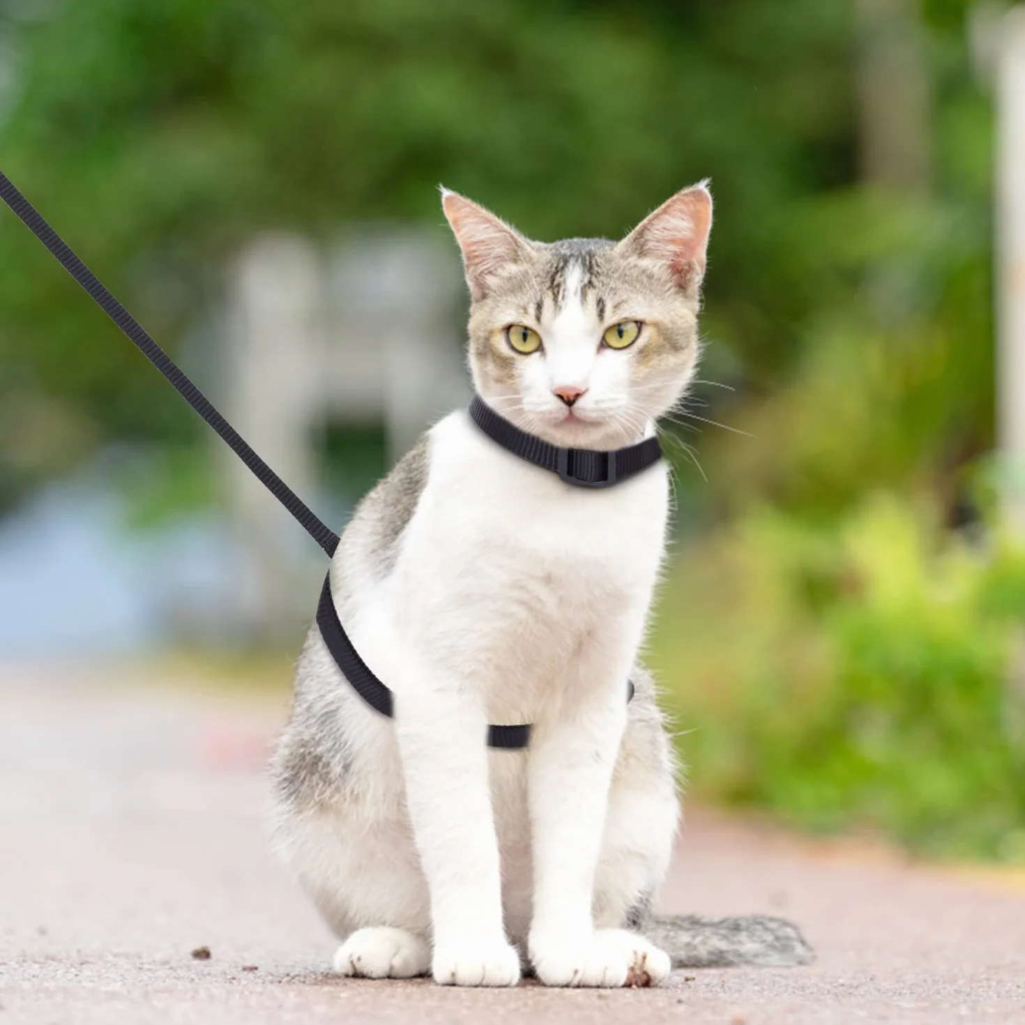 Nobleza Pettorina per Gatti con Guinzaglio Integrato, Imbracatura Regolabile per Gatti Piccoli e Cuccioli, Nero, Size W1.0*L120cm