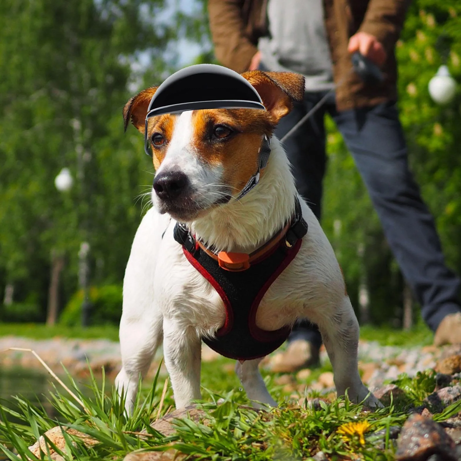 Set Di Caschi E Occhiali Per Cani Da Compagnia, Casco da moto per cani Con Occhiali, Forniture per animali Casco per Protezione Antivento per la Testa degli Occhi