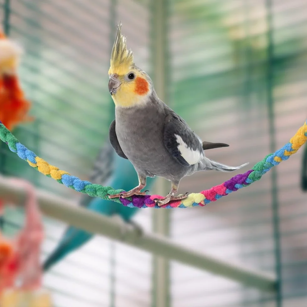 DONGKER Corda Arrampicata per Piccoli Animali 2/4 Pezzi Giocattolo con Fibbia in Metallo per Ratto Furetto Pappagallo