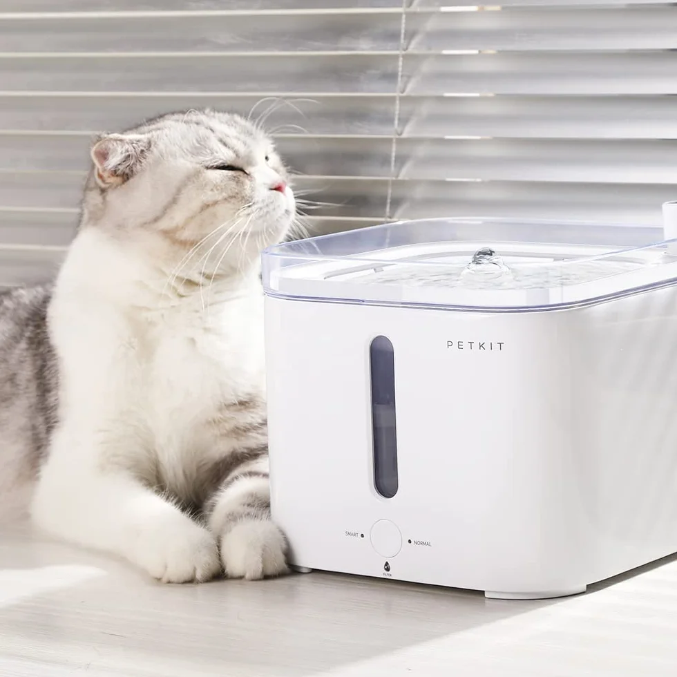 PETKIT Filtri Fontanella per Gatti, 5 Pezzi Filtro per Fontana per Gatti,Unità Filtranti per EverSWEET 2, EVERSWEET 3 e CYBERTIAL PUREDRINK