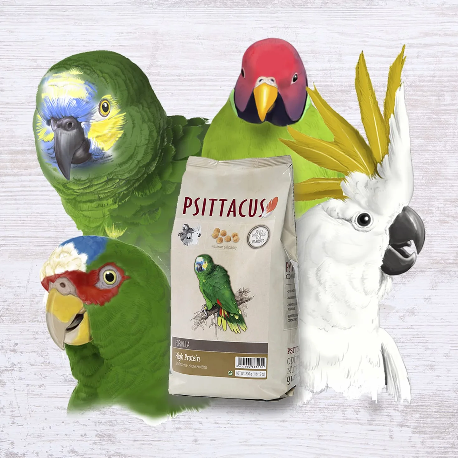 Psittacus Cibo di Mantenimiento Alta Proteina per Pappagalli, 800 g