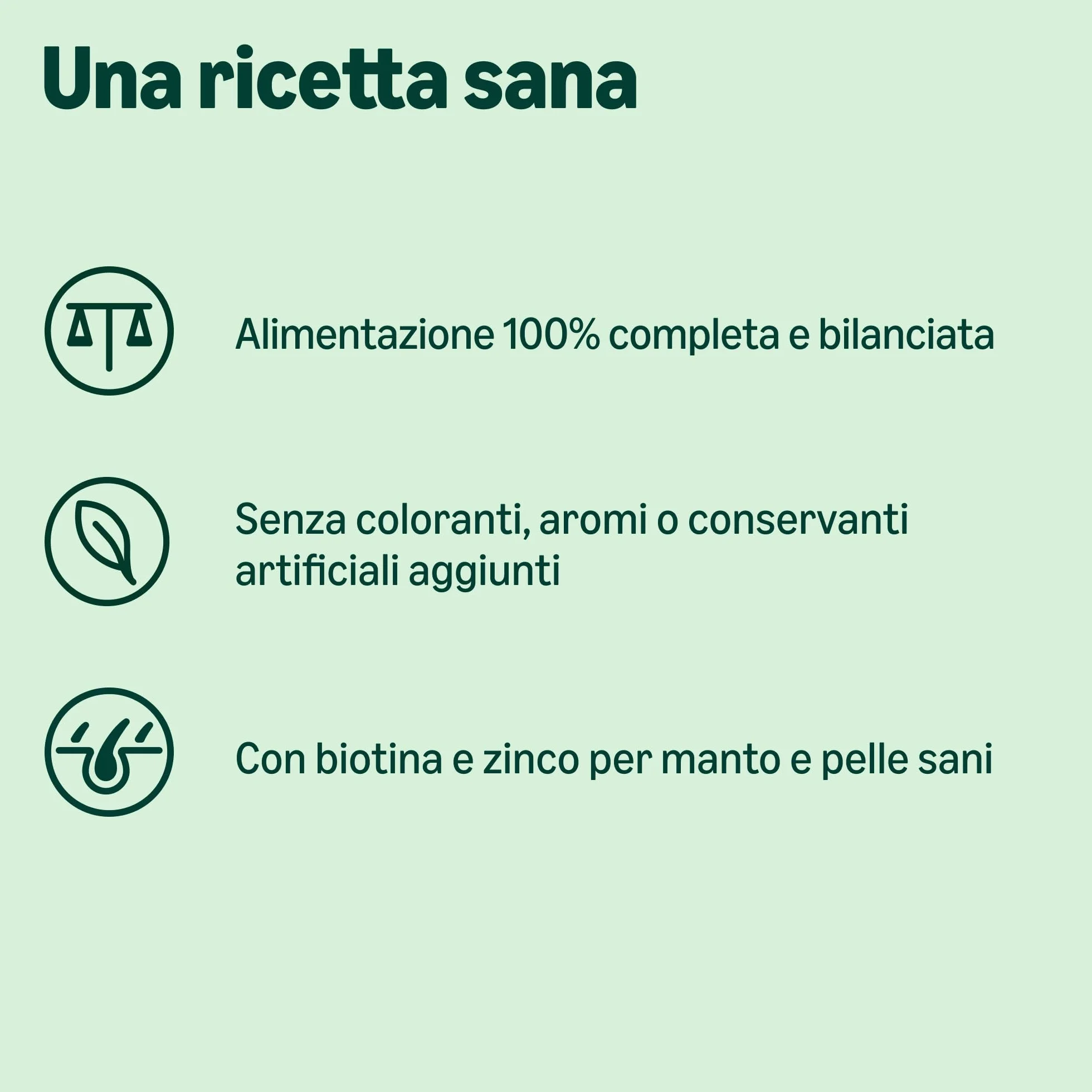 Amazon Complete Alimento Secco Completo Per Cani Adulti Razze Piccola Taglia Ricco In Pollo E Riso 3kg
