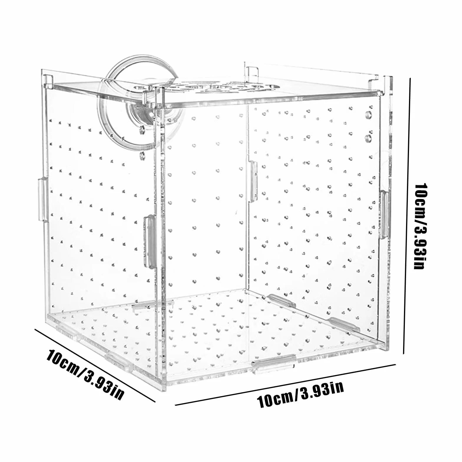 Scatola Di Isolamento Per Acquario - Scatola Per Allevamento In Acrilico, Divisorio Per Vivaio A, Contenitori Per Acclimatazione Di Uova Di Pesce 10x10x10 Cm, Contenitori Per Allevamento Di Ga