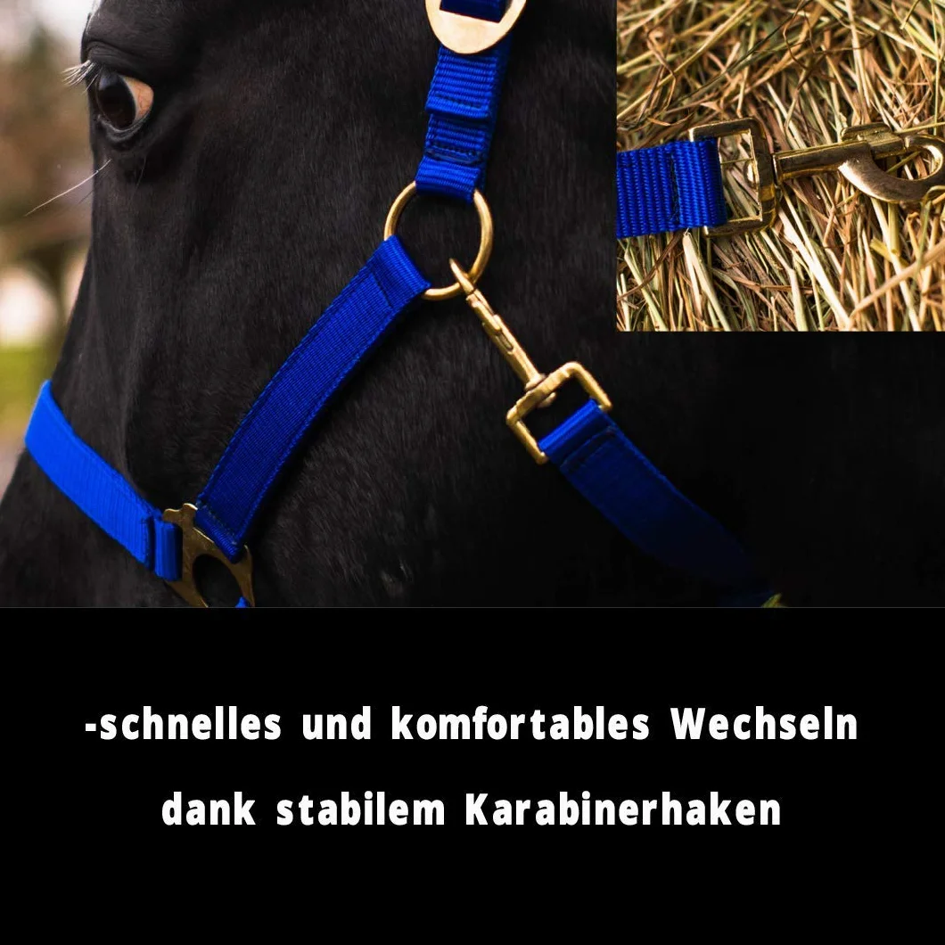 Cavezza per Cavallo - Stalla e Pascolo Con 2 Posizioni Regolabili su Sottogola e Nuca, Sicura e Antistrappo, per Sangue Caldo, Purosangue, Freddo (Blu Reale)