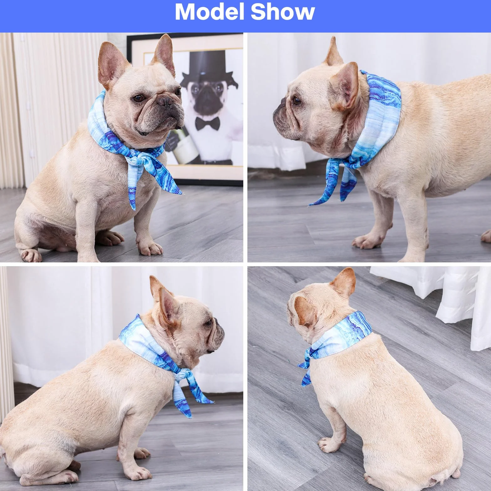 Collare di Raffreddamento per Cani, Bandana Rinfrescante, Traspirante, Taglia M