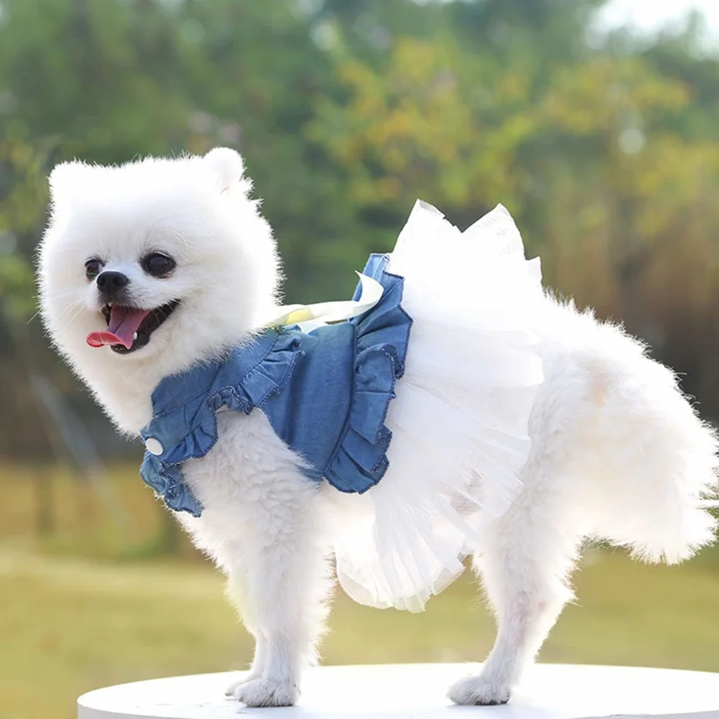XIAOYU abiti per cani pet bowknot gonna principessa estate gilet per cani denin camicie prendisole dolce abiti da festa di nozze abiti per animali domestici abbigliamento, bianco, M