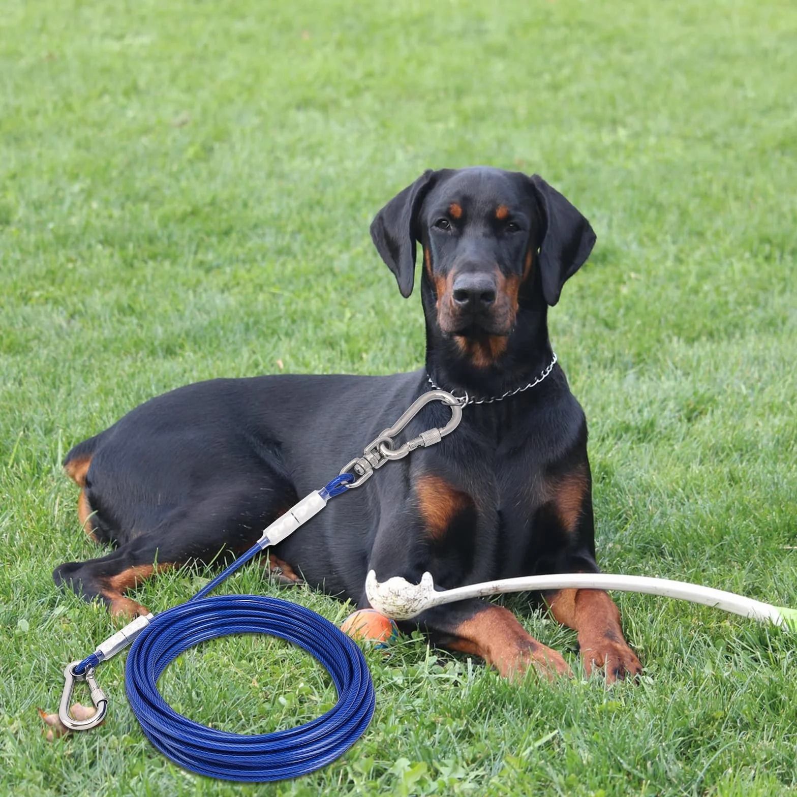 Tie-Out guinzaglio per cani, 3/6/9/15 m, per il cortile, guinzaglio per cani (blu, 15 m