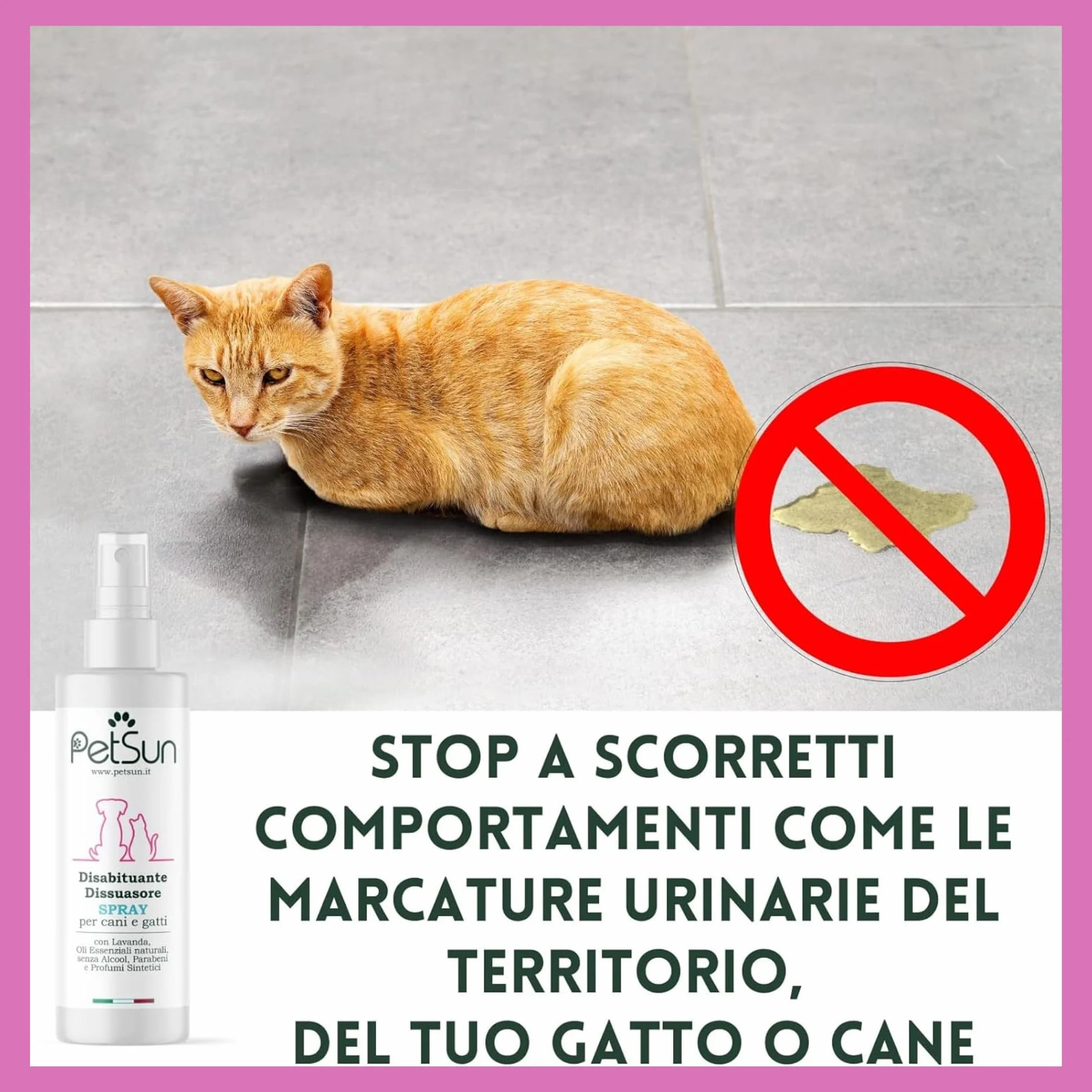 PetSun Disabituante per Cani e Gatti - Repellente - Spray Naturale - Anti Urina e Odori per Interni ed Esterni - 250 ml