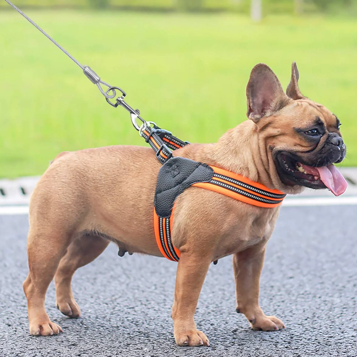 Jinlaili 16.4ft/5M Cavo per Legare Il Cane, Dog Tie out Cable, Guinzaglio da Corridore per Cani Fino a 80 kg, Adatto a Tutte Le Razze (Bianco)