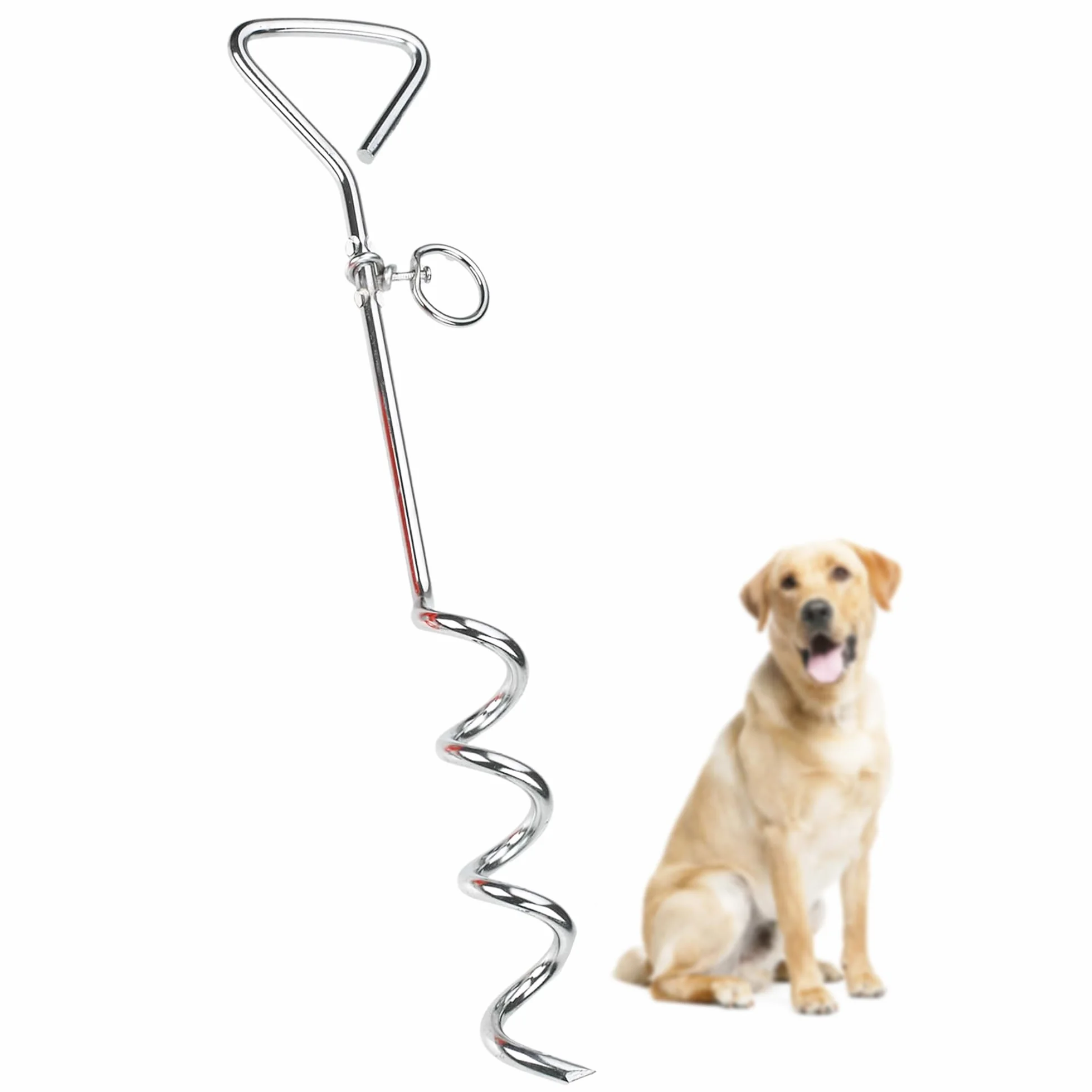 Sungrow Picchetto Da Esterni Per Guinzaglio, In Acciaio Inox, Con Anello Girevole Di 360deg Design A Spirale, Molto Pratico, Resistente E Facile Da Usare, Adatto Per Cani Fino A 36.3kg
