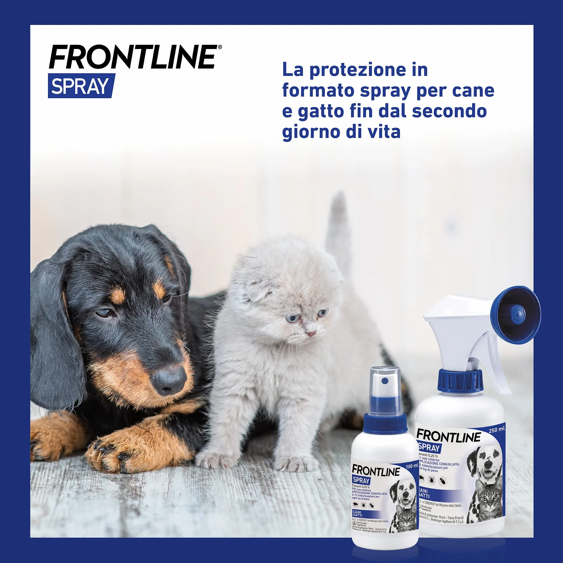 FRONTLINE Spray 250 ml, Antiparassitario per Cani e Gatti e Cuccioli dal Secondo Giorno di Vita, a Lunga Durata, Elimina e Protegge da Zecche, Pulci e Pidocchi