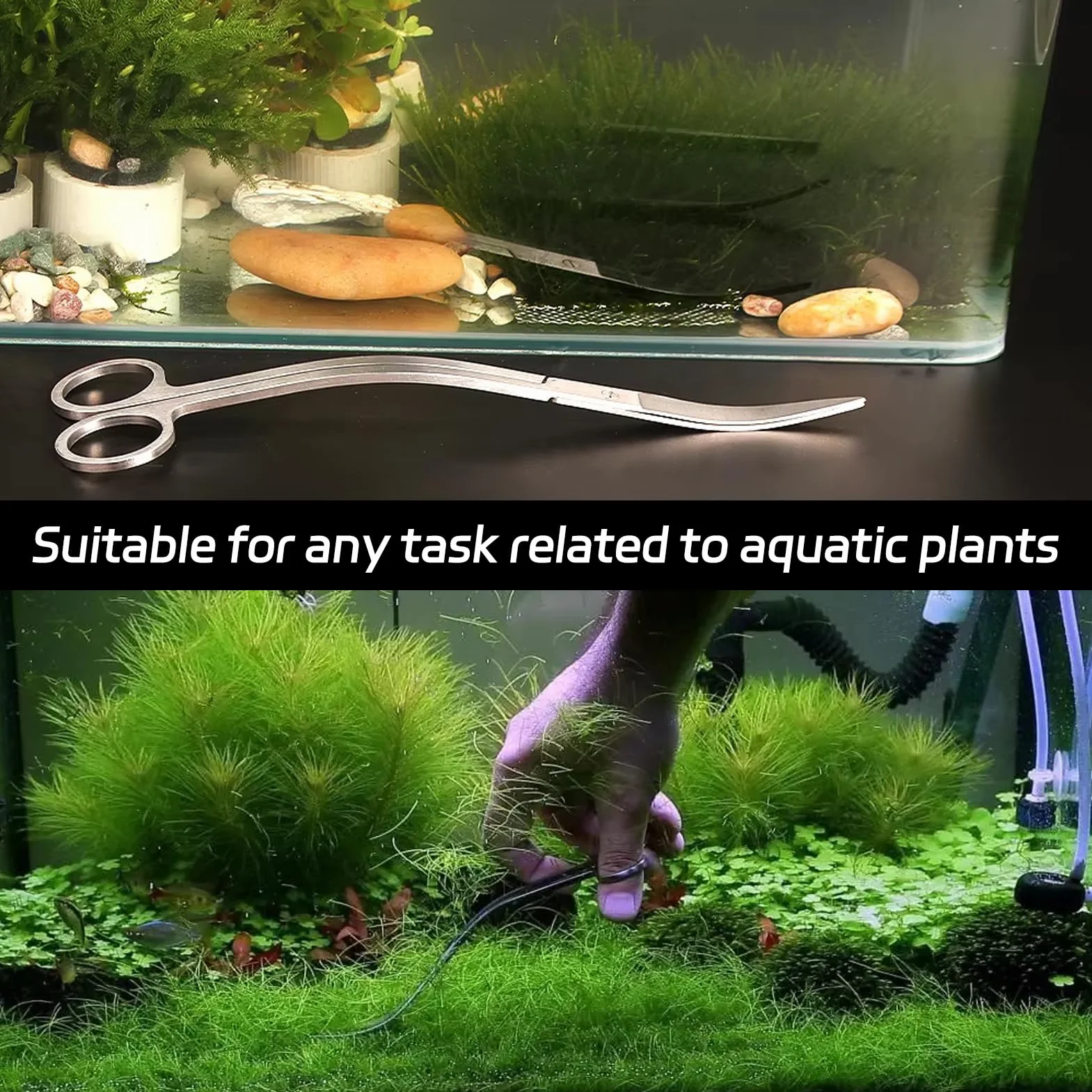 Forbici Da Acquario Curve In Acciaio Inossidabile 25 Cm Aquascaping Strumento