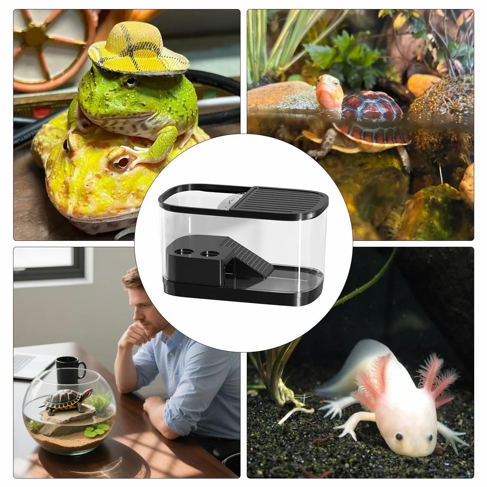 Vasca Per Tartarughe Terrario e Acquario Rettili Antifuga Allevamento | Terrario Per Rettili Ad Alta Trasparenza Per Esterni, Allevamento, Pet, Gechi, , Lucertole, Rane, Tartarughe