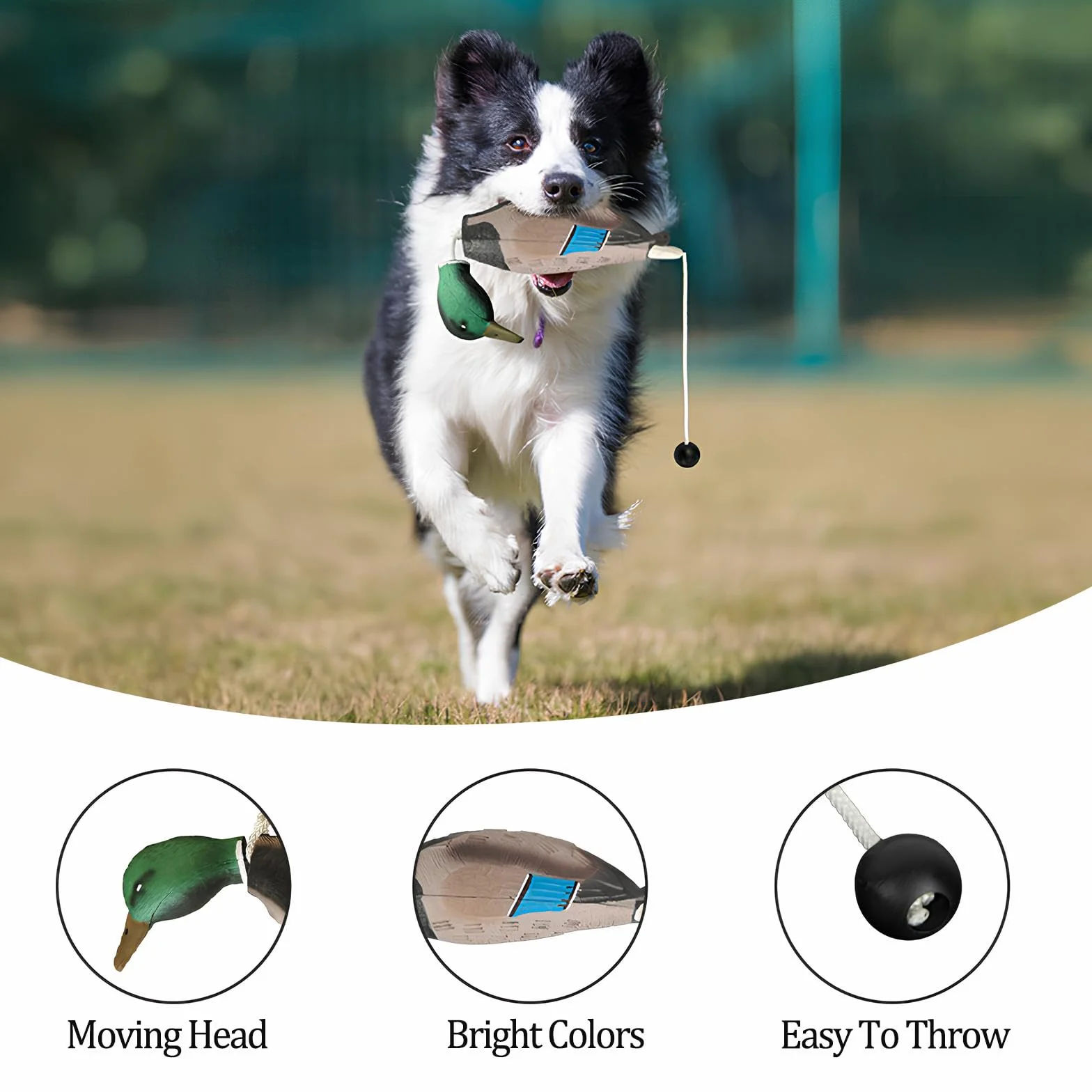 Anatra Giocattolo per Addestramento Cani, Dummy per Cani, Giocattolo Accessori per Cane da Caccia, Accessori per Cani da Caccia per L'addestramento delle Abilità dei Cani da Caccia Retriever