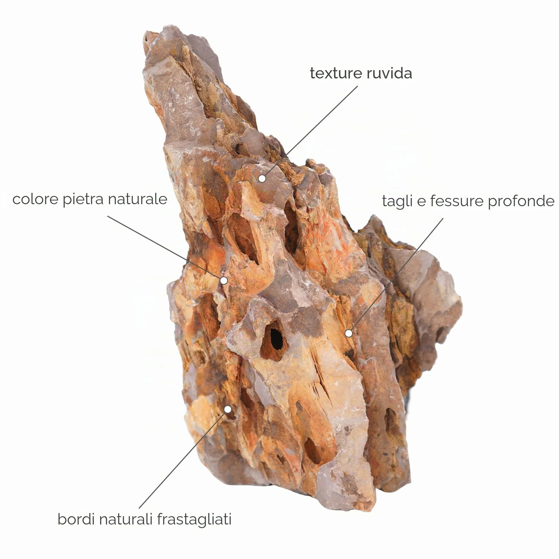 Pietra Naturale del Drago da 15,5 a 20,3 cm, 6 Pezzi per Acquario, paesaggistica, terrari, Decorazione per acquari, vivari, paludari, rettili e Anfibi