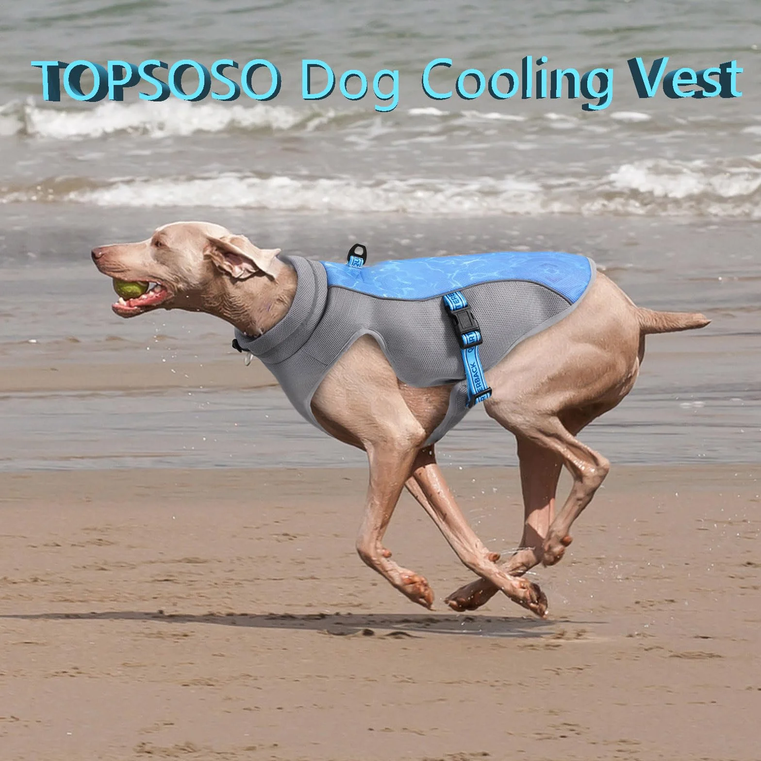 Gilet Rinfrescante per Cane Leggero - Pettorina Refrigerante UV per Spiaggia, Traspirante Cappotto Raffreddamento Estivi (Verde M)