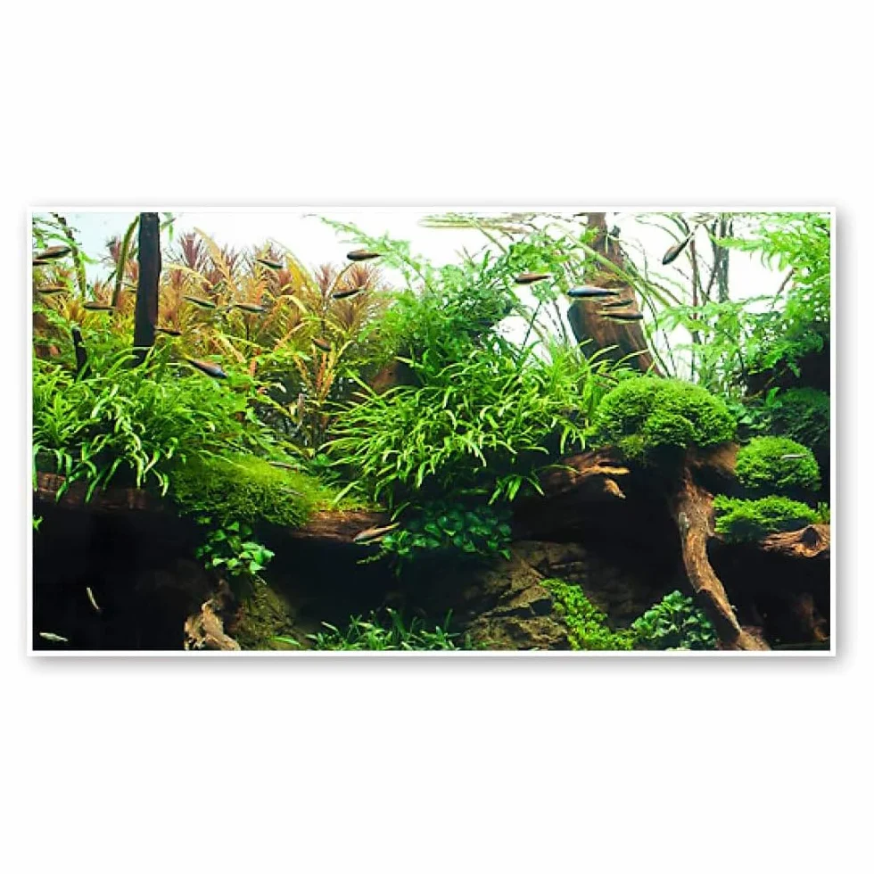 Amtra Sfondo Doppio Amazonia - Sfondo Poster per Acquario, Decorazione a Doppia Stampa HD, Double Face, Impermeabile, Formato 30x60 cm