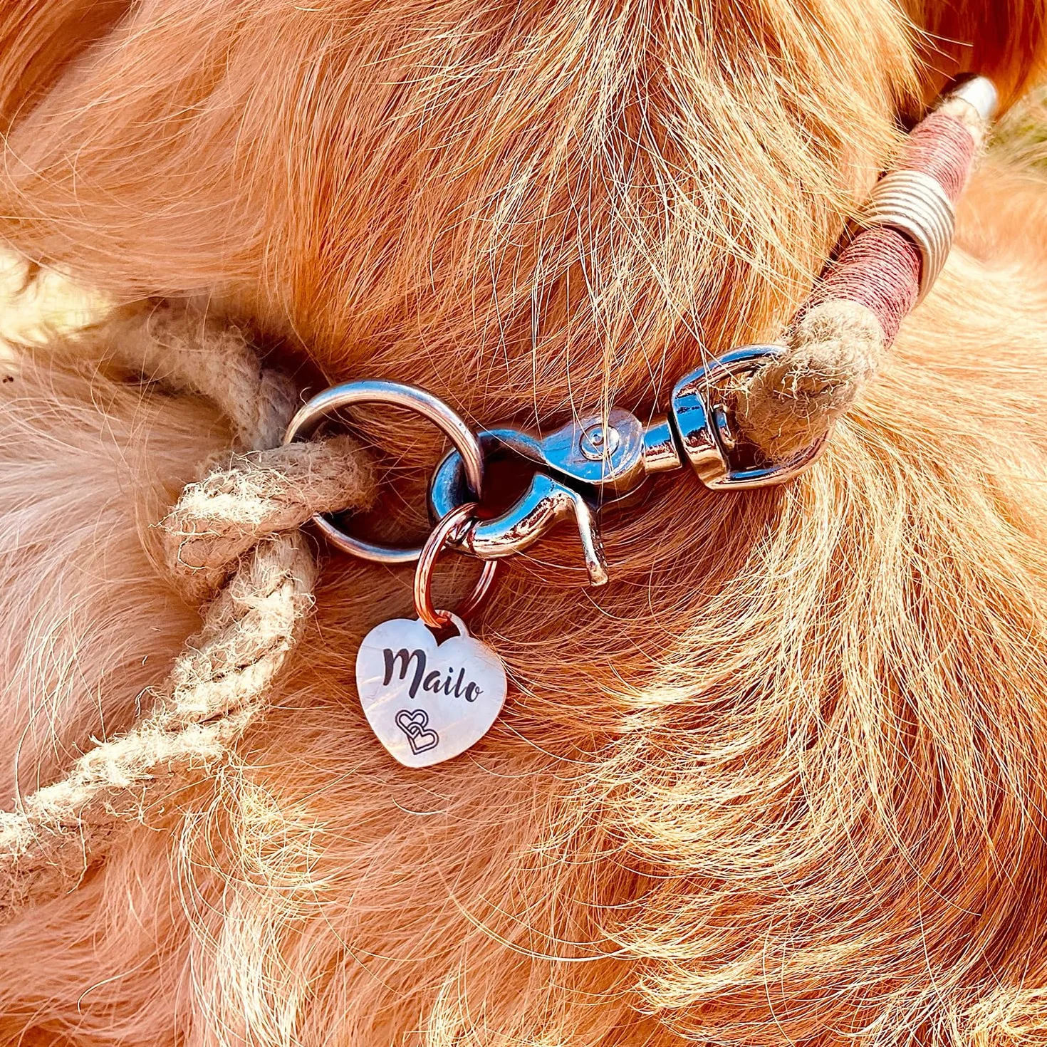 Medaglietta per cani GOLDEN PAW in acciaio inossidabile con incisione a forma di cuore, personalizzata, Oro rosa